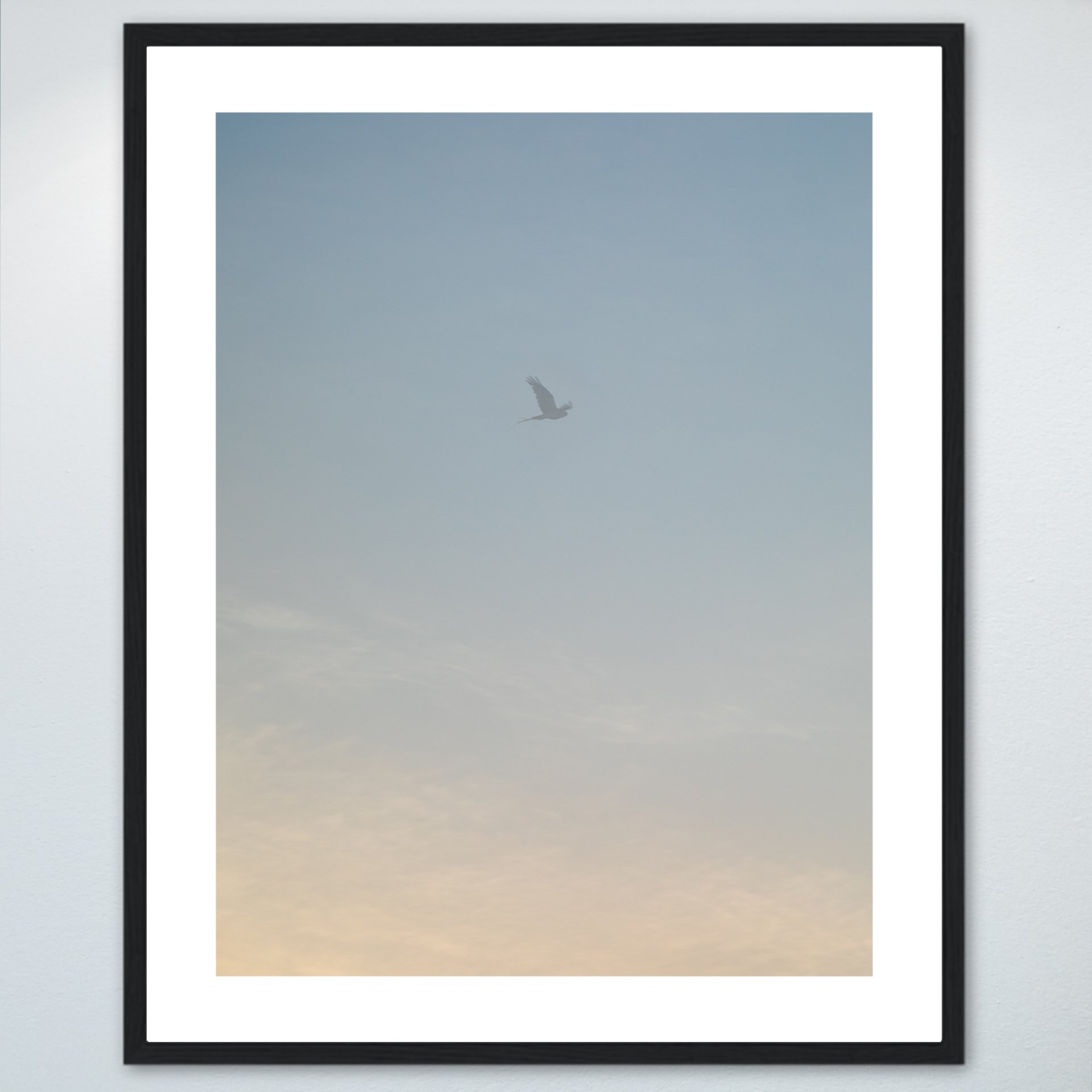 1:1 Seagull thru Fog- Wood w: Border.jpg