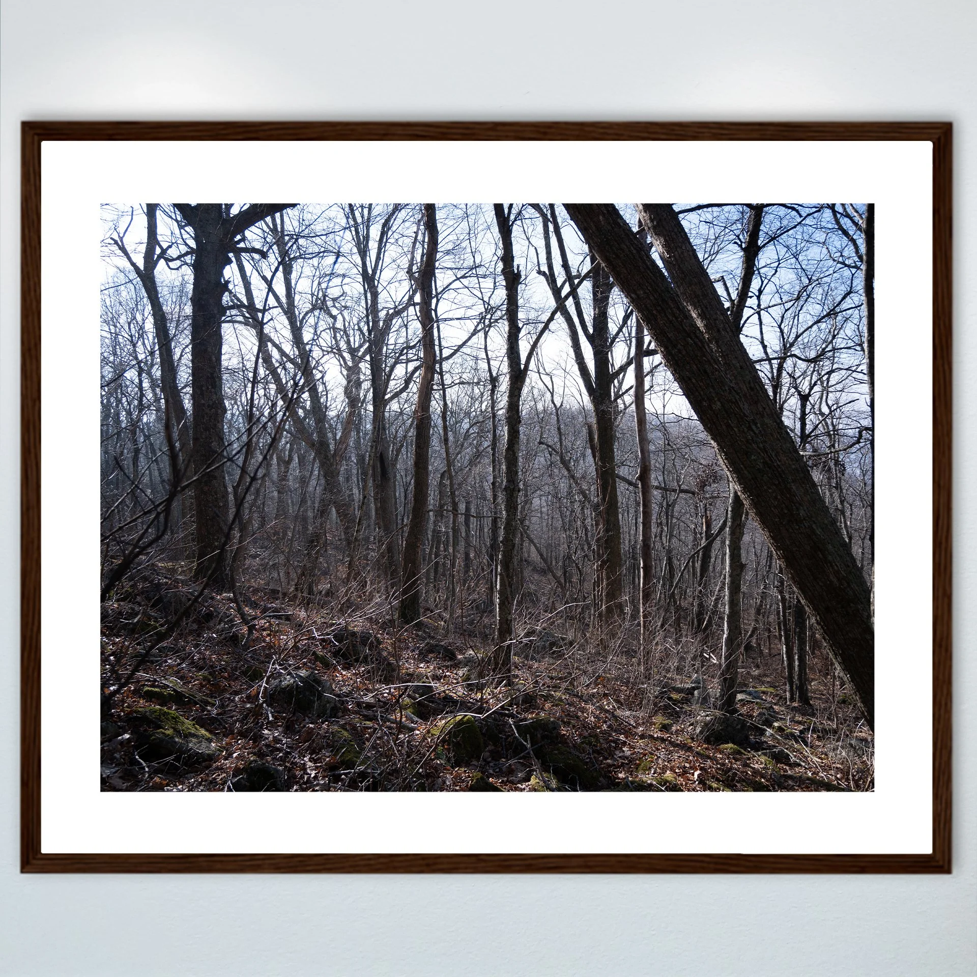 1:1 Shenandoah Trees- Wood w: Border.jpg