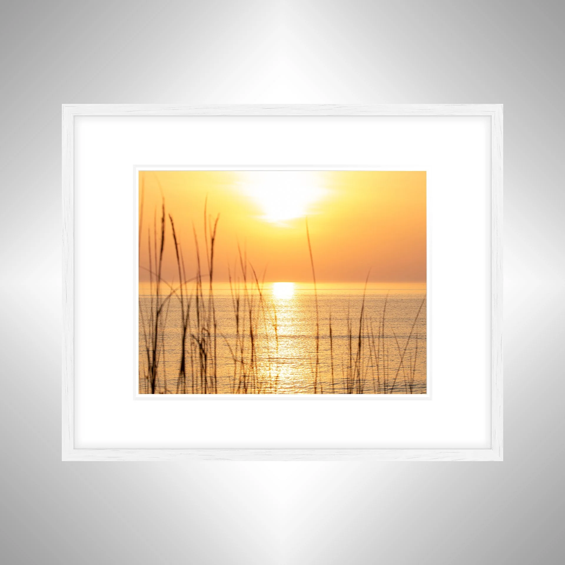 1:1 Sunrise thru Dunegrass- White w: Border.jpg