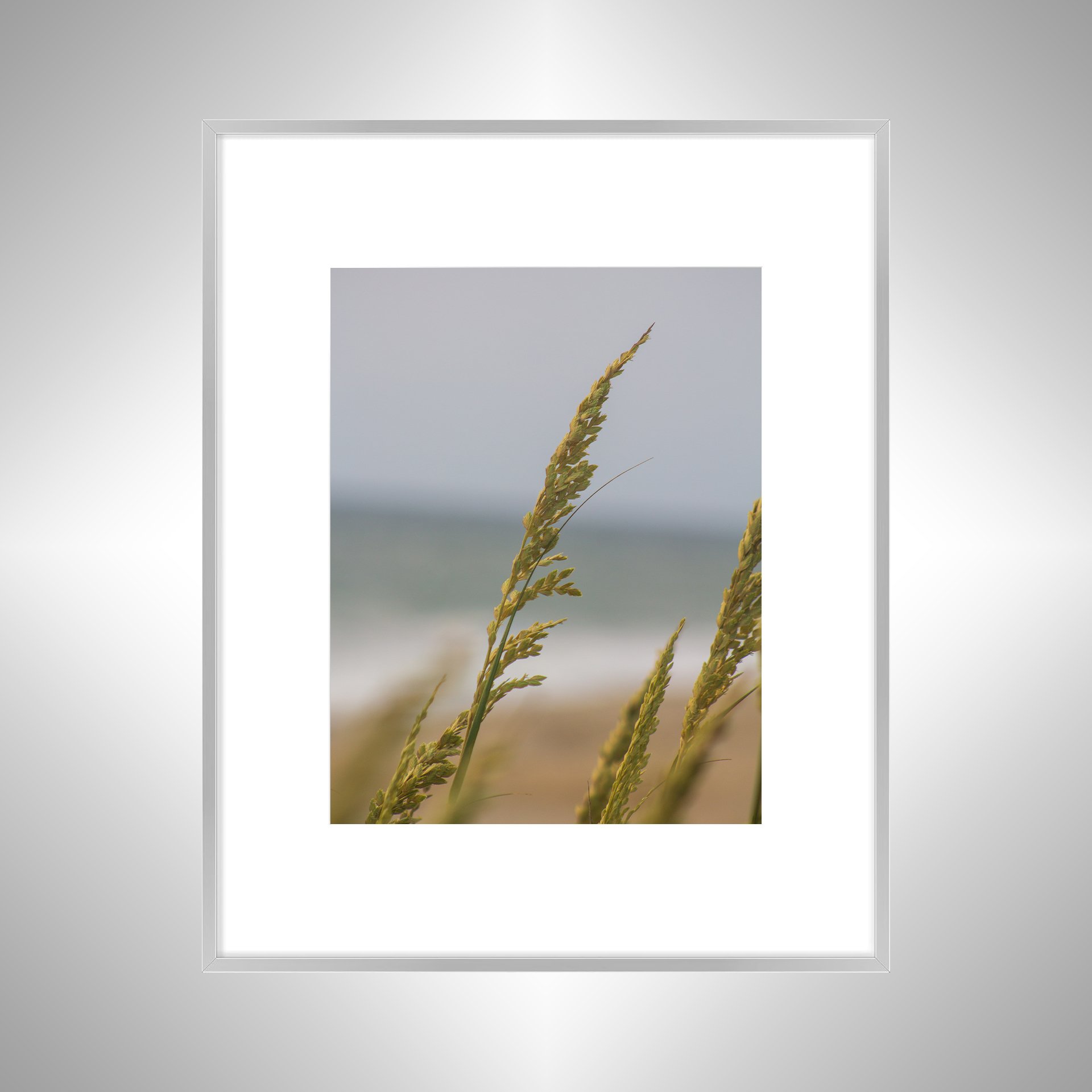 1:1 Rodanthe Dune Oats Single- Silver w: Border.jpg