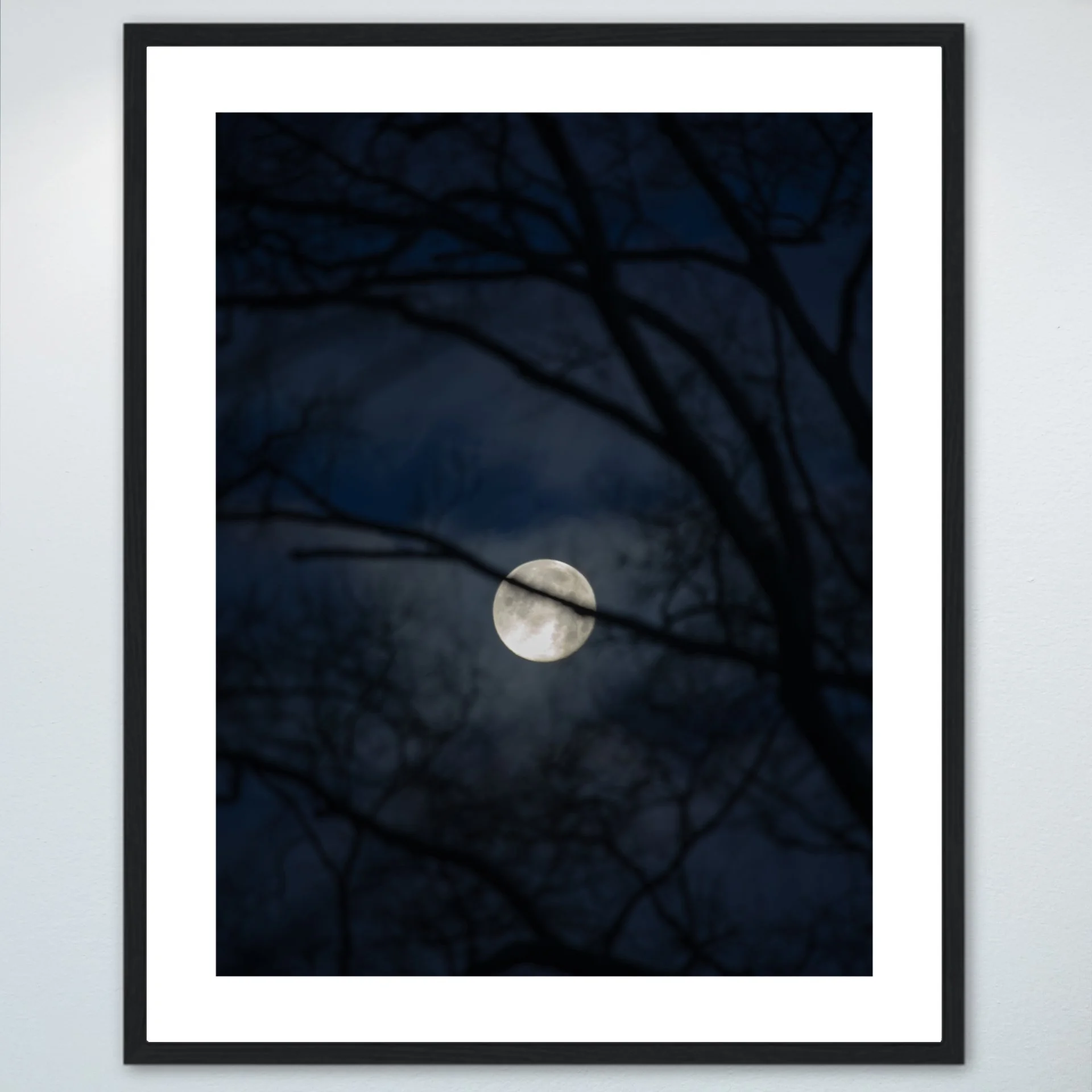 1:10 Moon thru Tree Branches- Wood w: Border.jpg