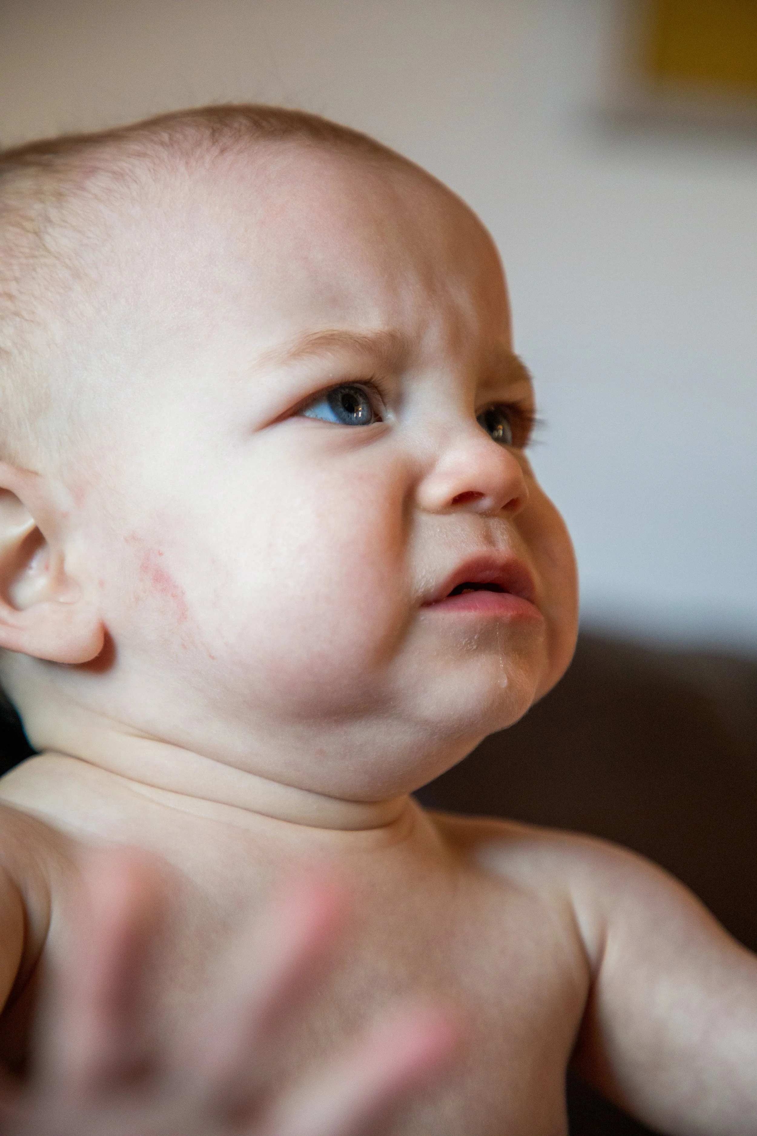 Hudson & Nolan43.jpg