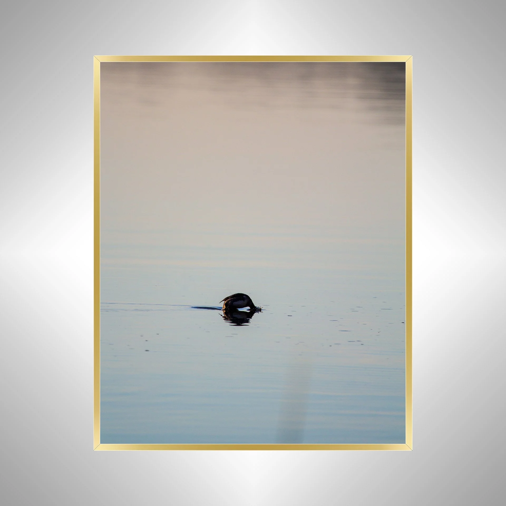 1:1 Bufflehead on Lafayette Diving- Gold Metal.jpg