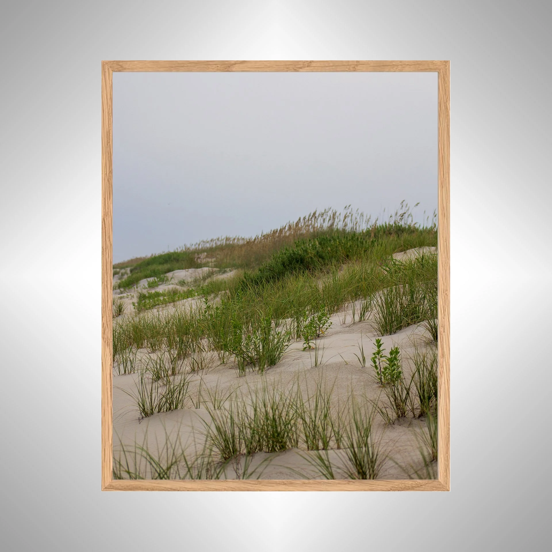 1:10 Ocracoke Dune Oats (Portrait)- White copy NATTY.jpg
