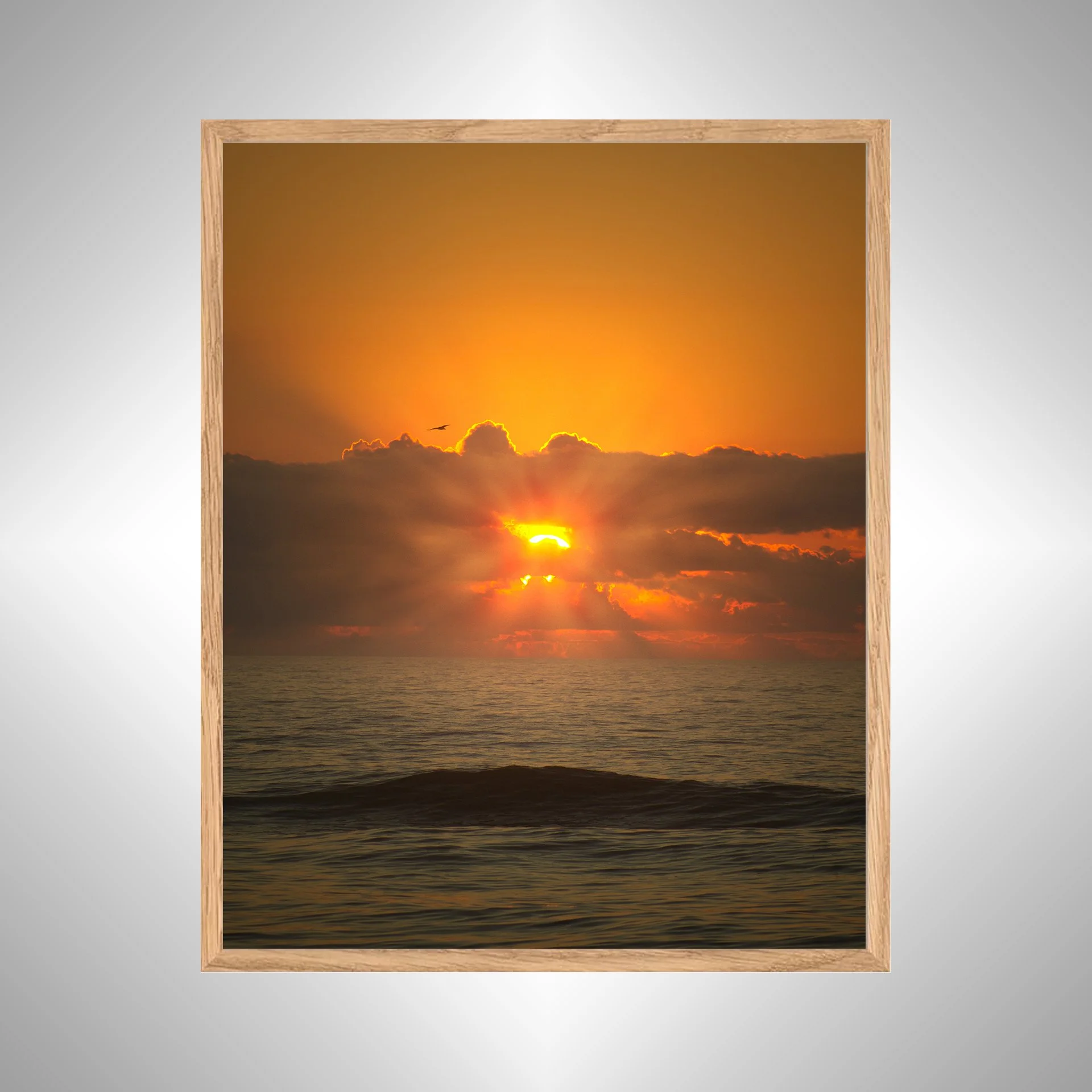 1:1 Sea + Gull Sunrise Flare- White copy NATTY.jpg