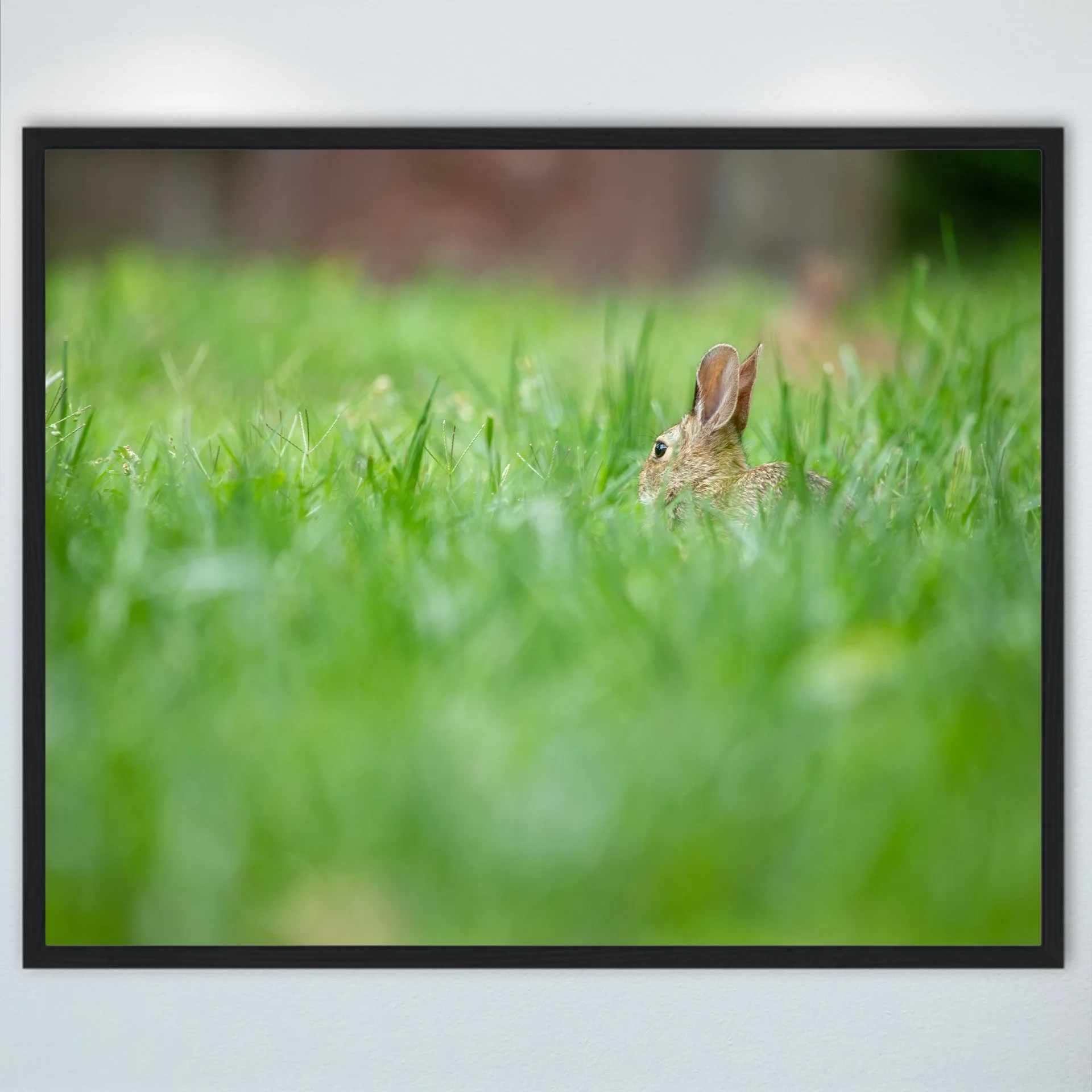 1:1 Rabbit Relaxing- Wood.jpg