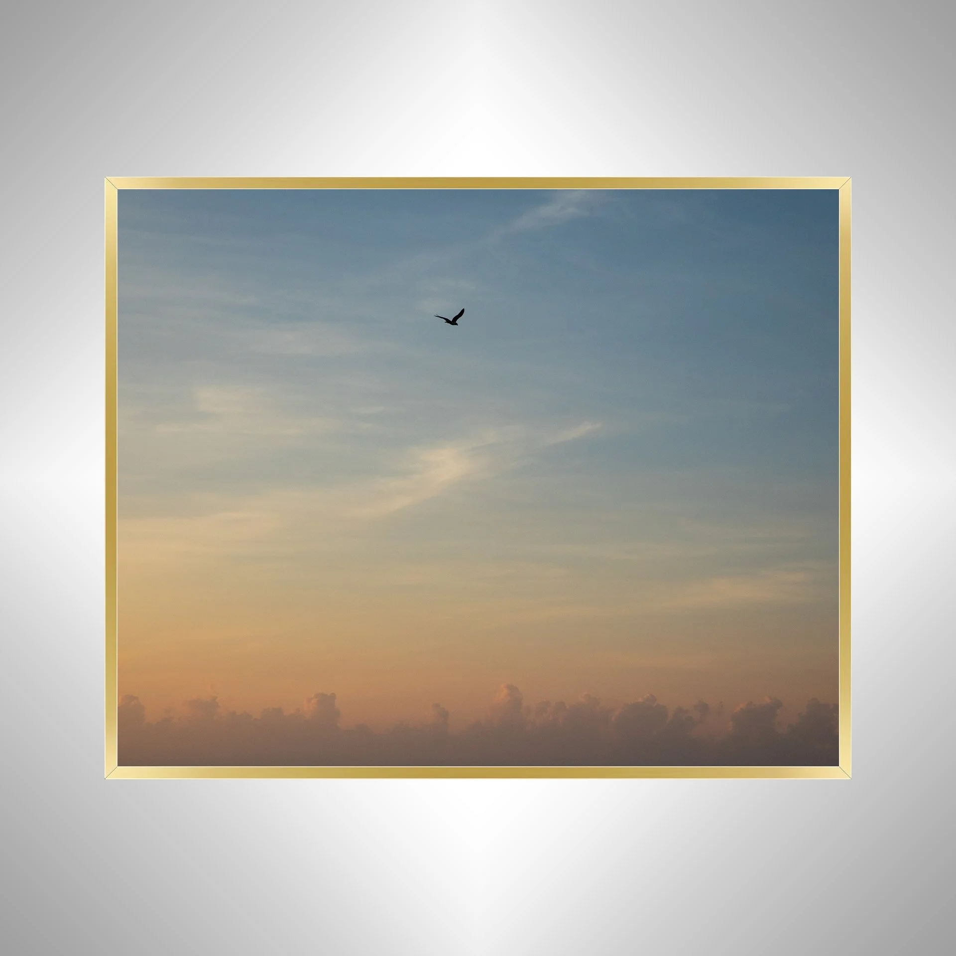 1:1 Seagull infront of Sunrise Clouds- Gold.jpg