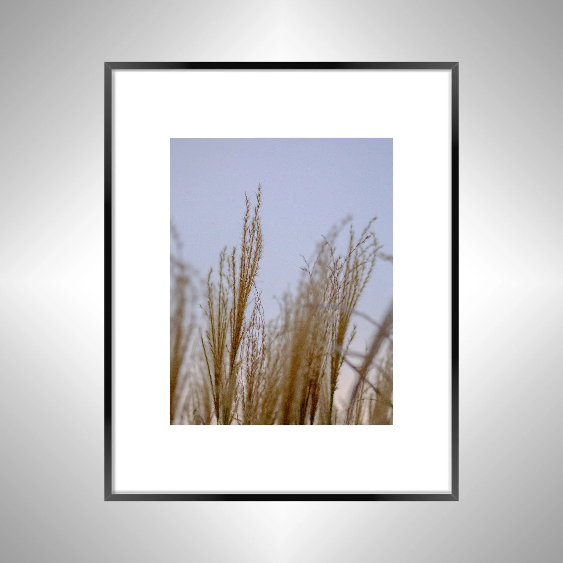 1:1 Lafayette River Oats- Black Metal w: Border.jpg