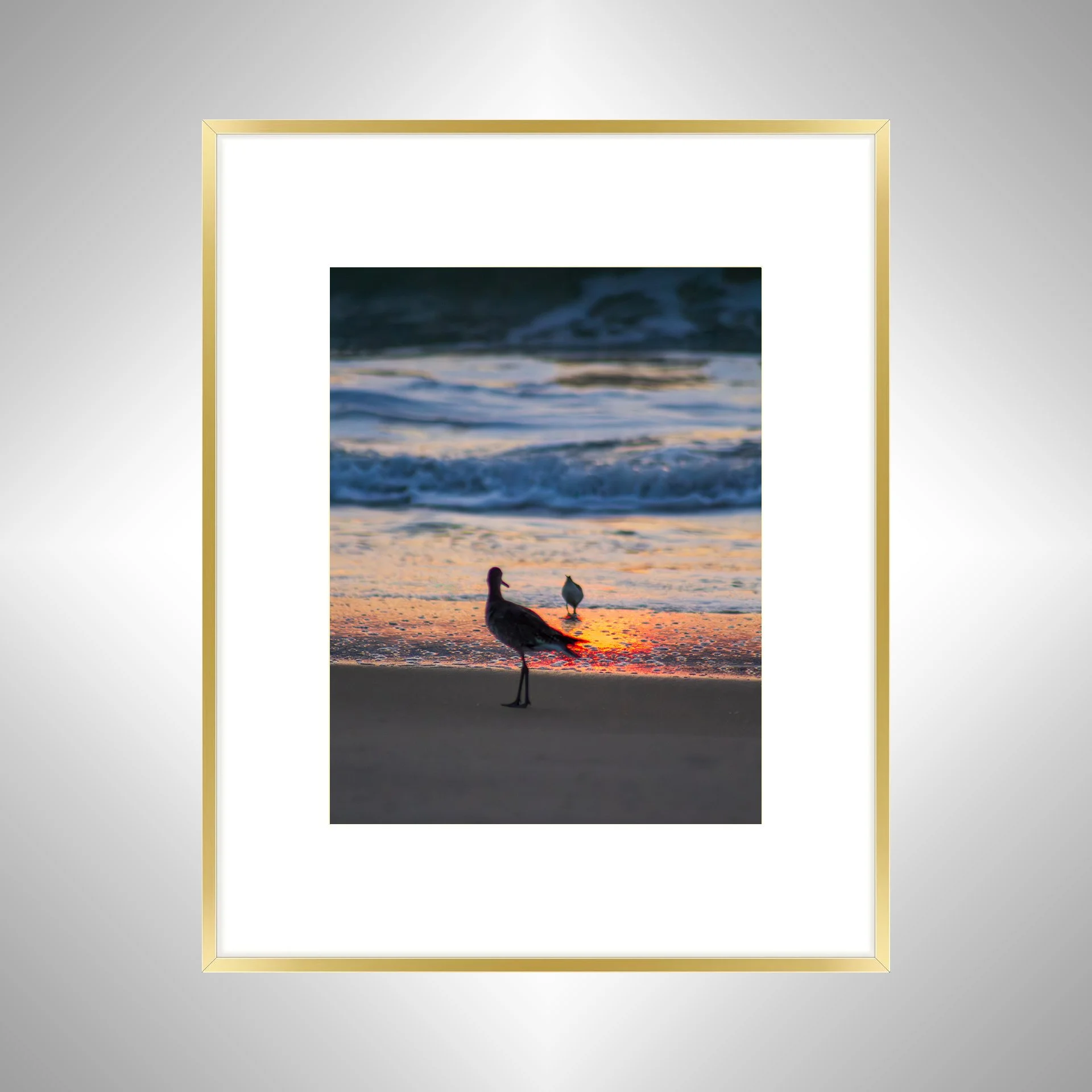 1:1 Willets at Sunrise- Gold w: Border.jpg
