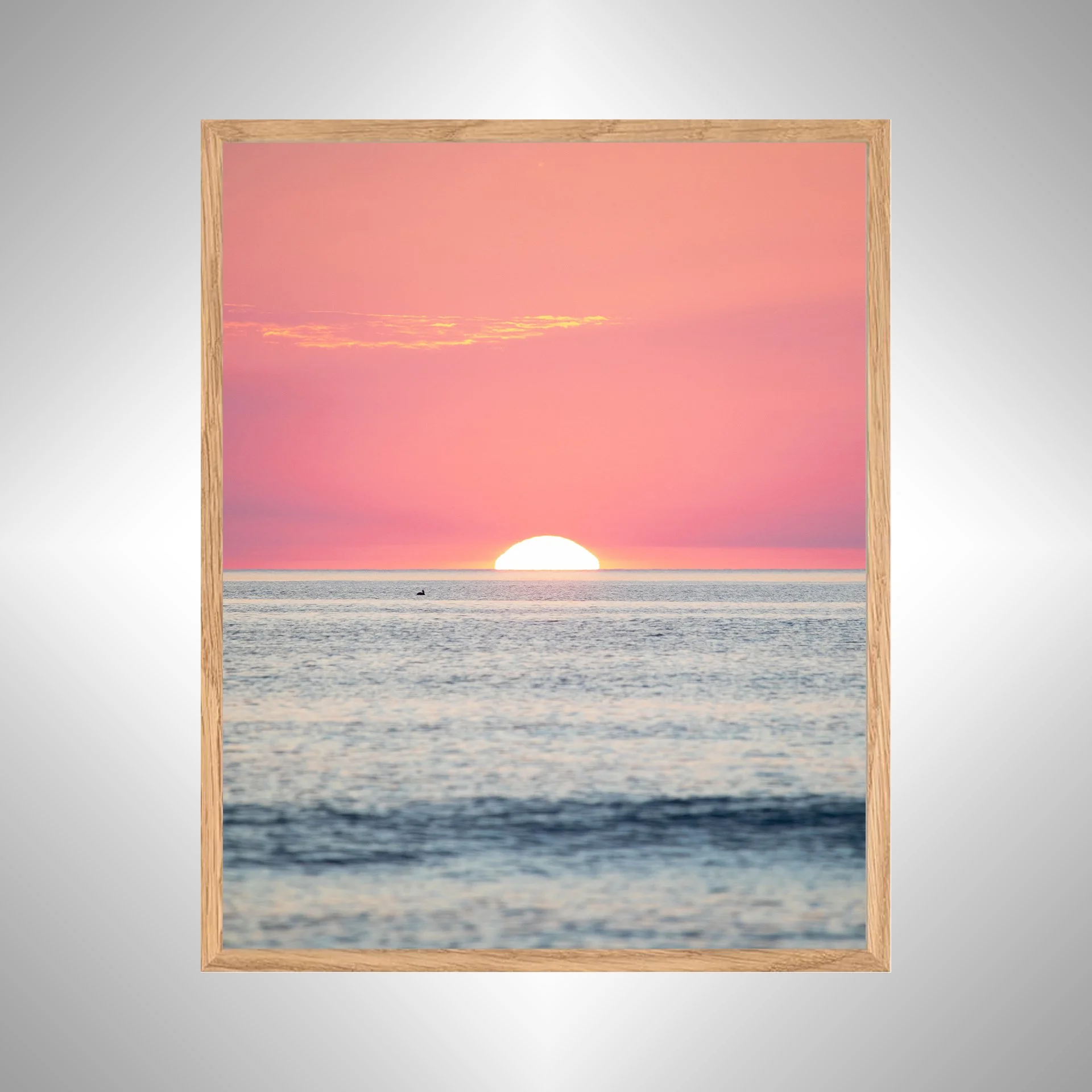 1:1 Pelican Watching Sunrise (Portrait)- White copy NATTY.jpg