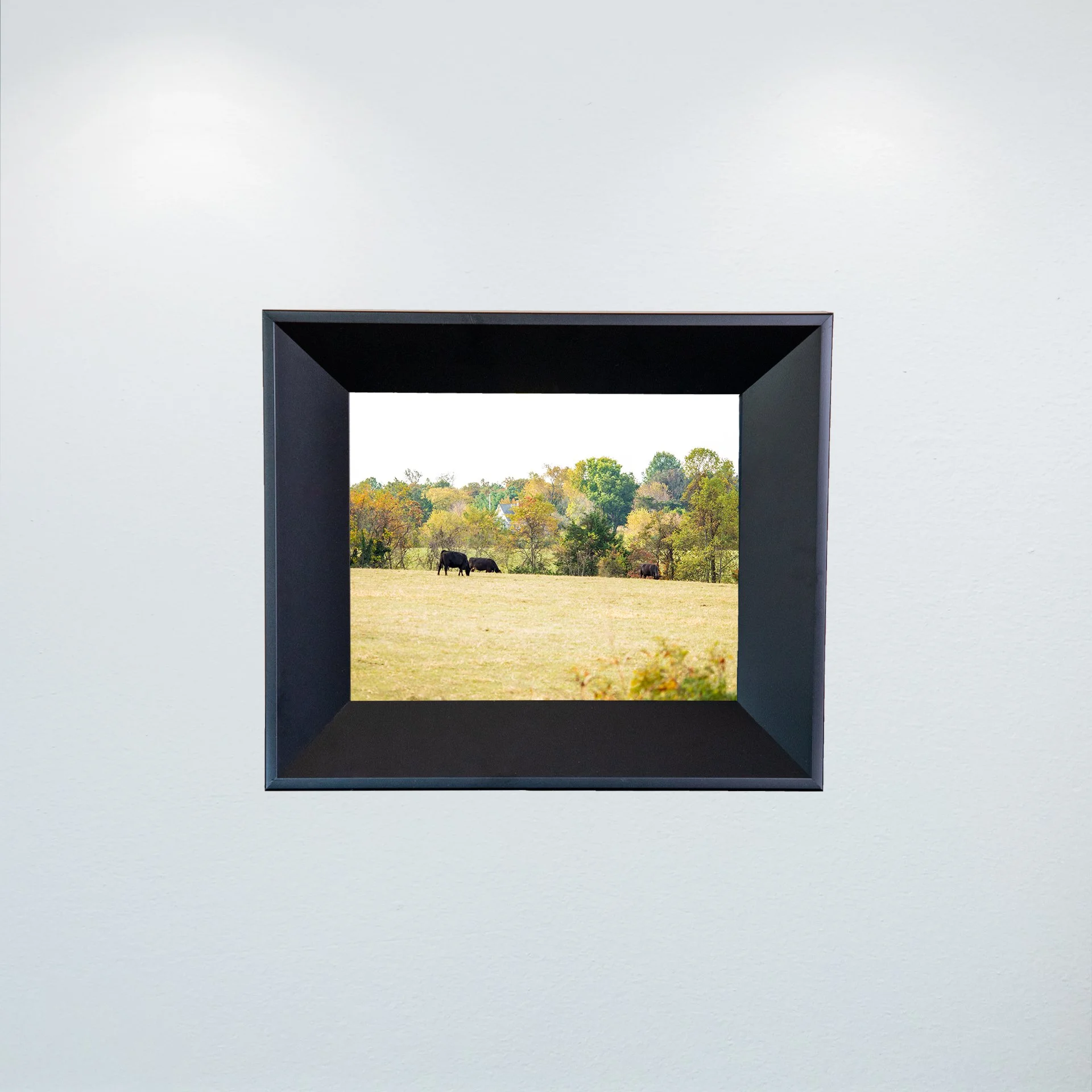 1:1 Shenandoah Grazers- Mini.jpg