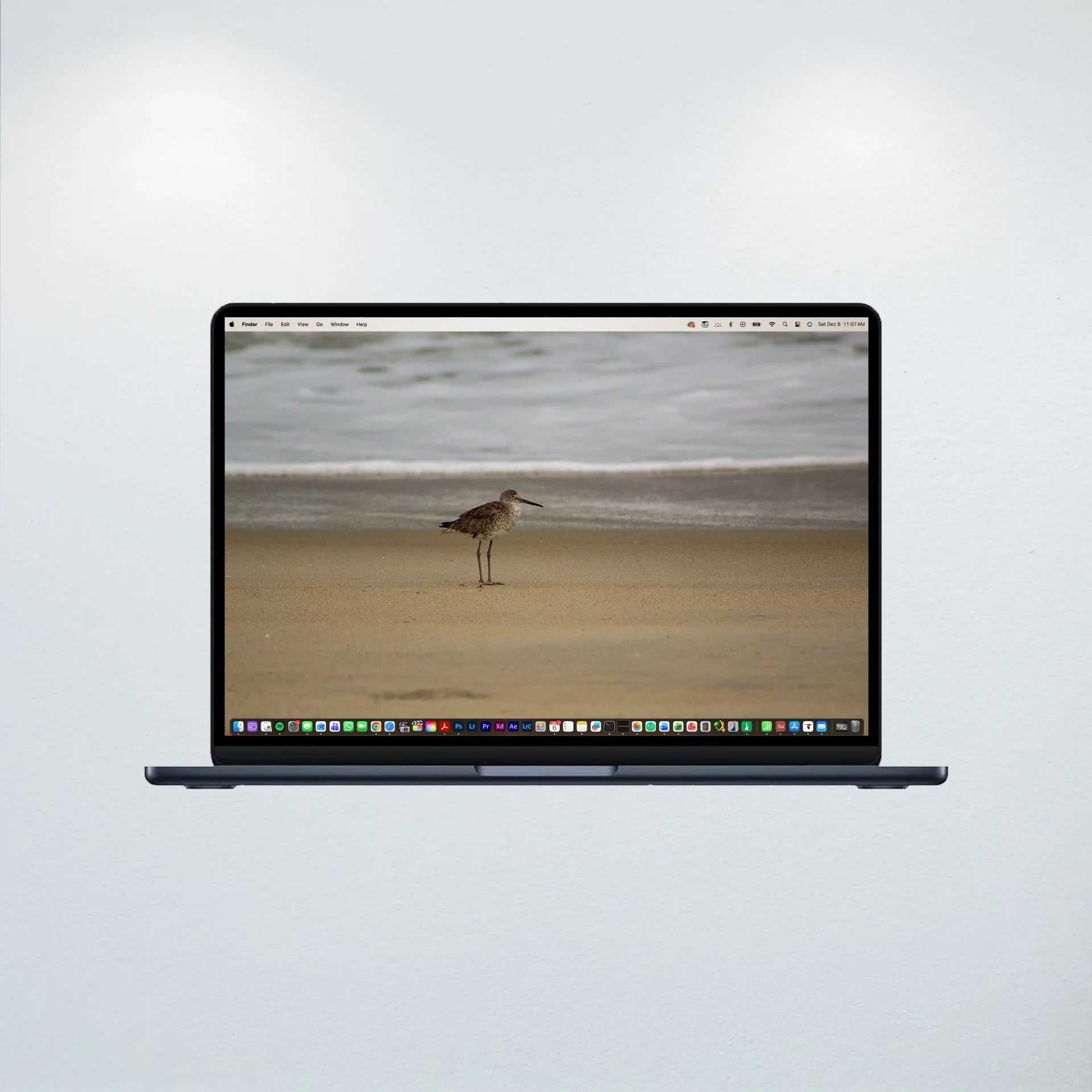 1:10 Willet on Beach- Wallpaper.jpg