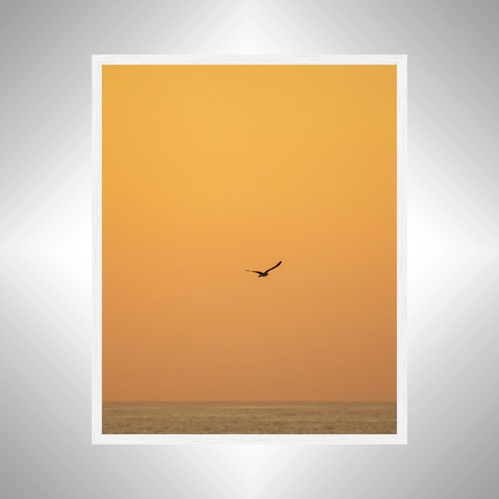1:10 Seagull Flying on Ocean- White.jpg