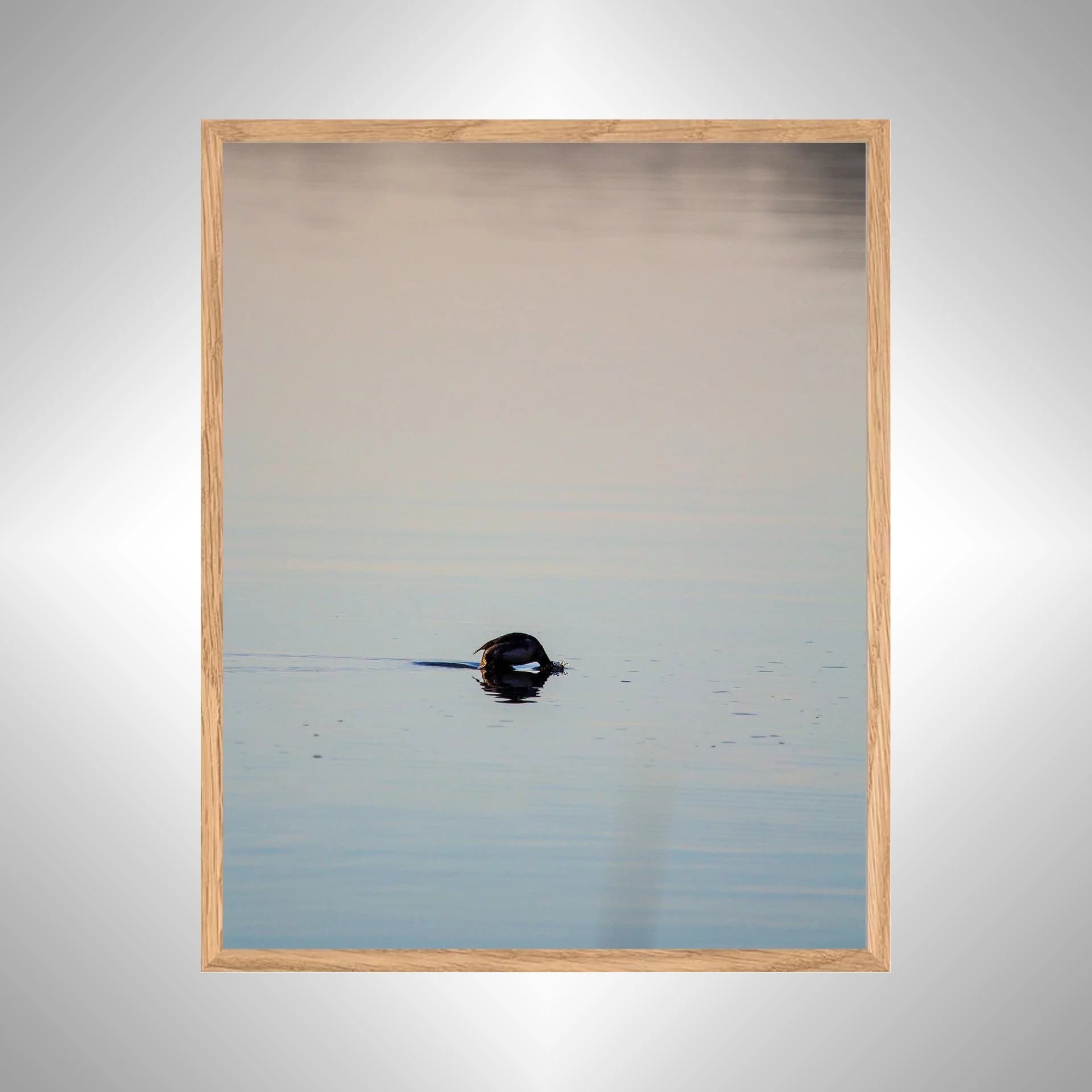 1:1 Bufflehead on Lafayette Diving- White Wood copy NATTY.jpg