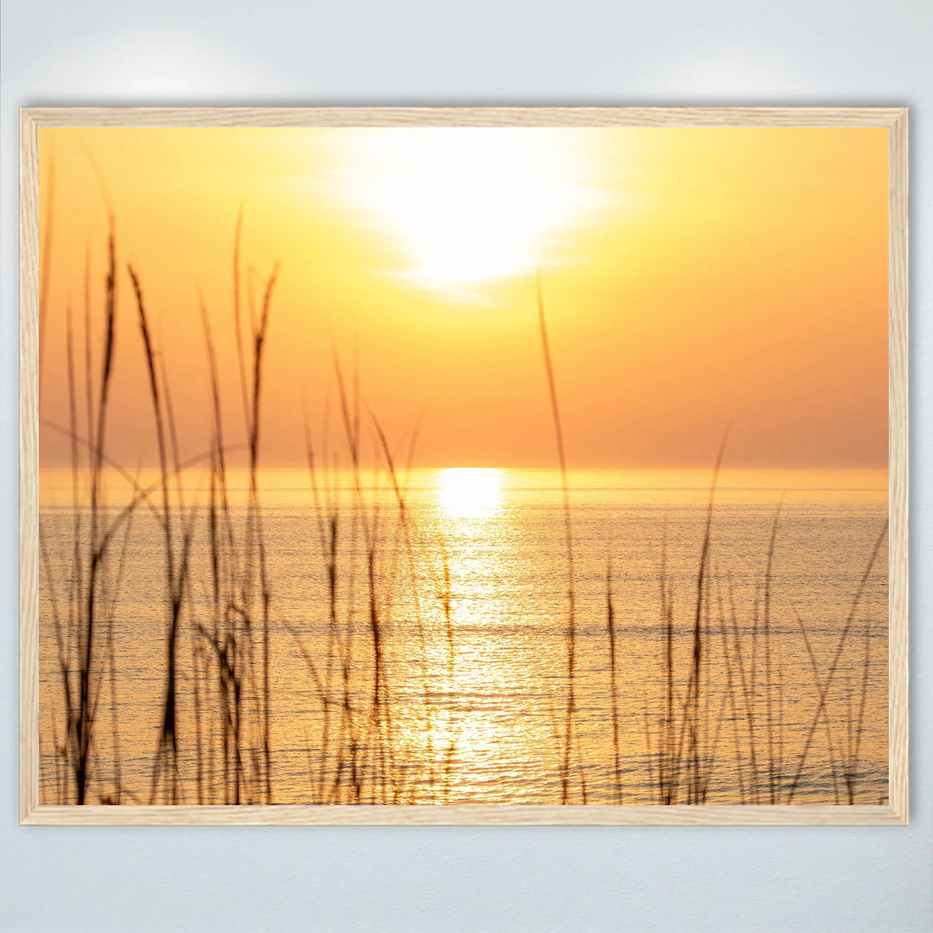 1:1 Sunrise thru Dunegrass- Wood w: Border.jpg