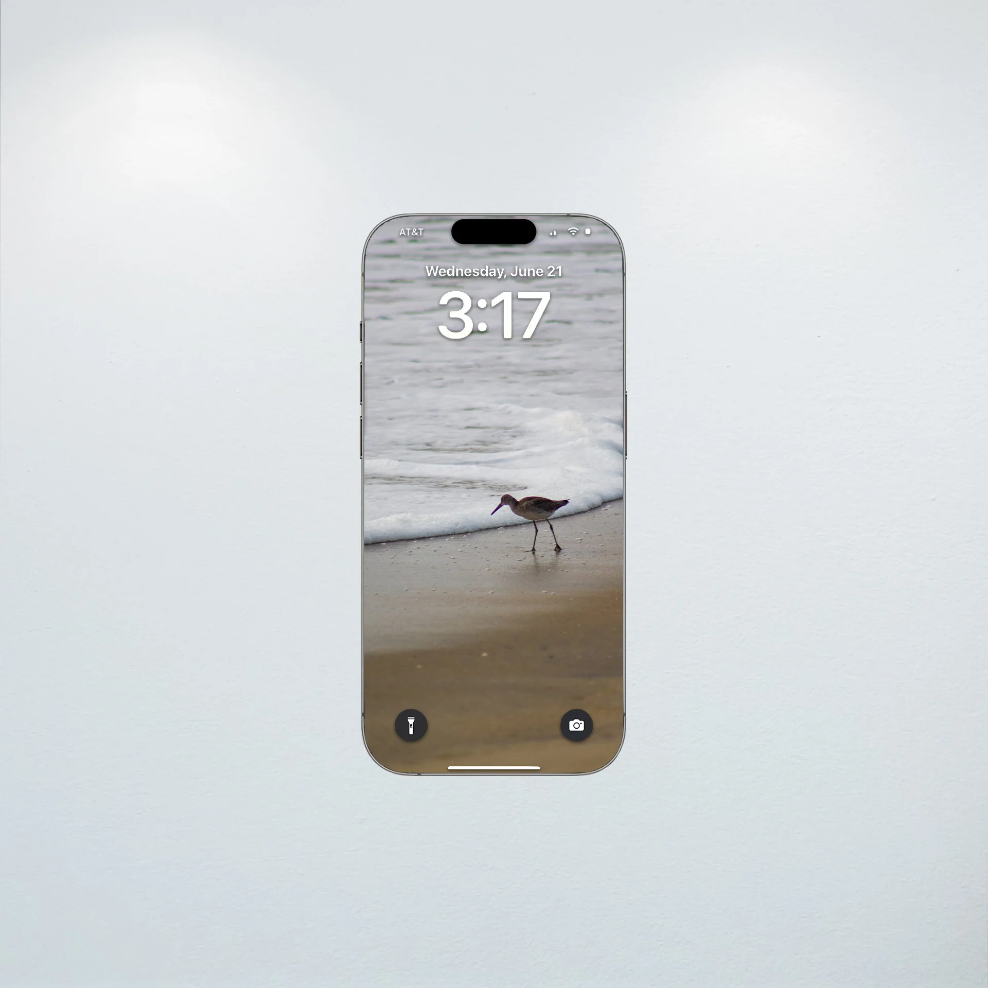 1:10 Willet at Beach Searching- Wallpaper.jpg