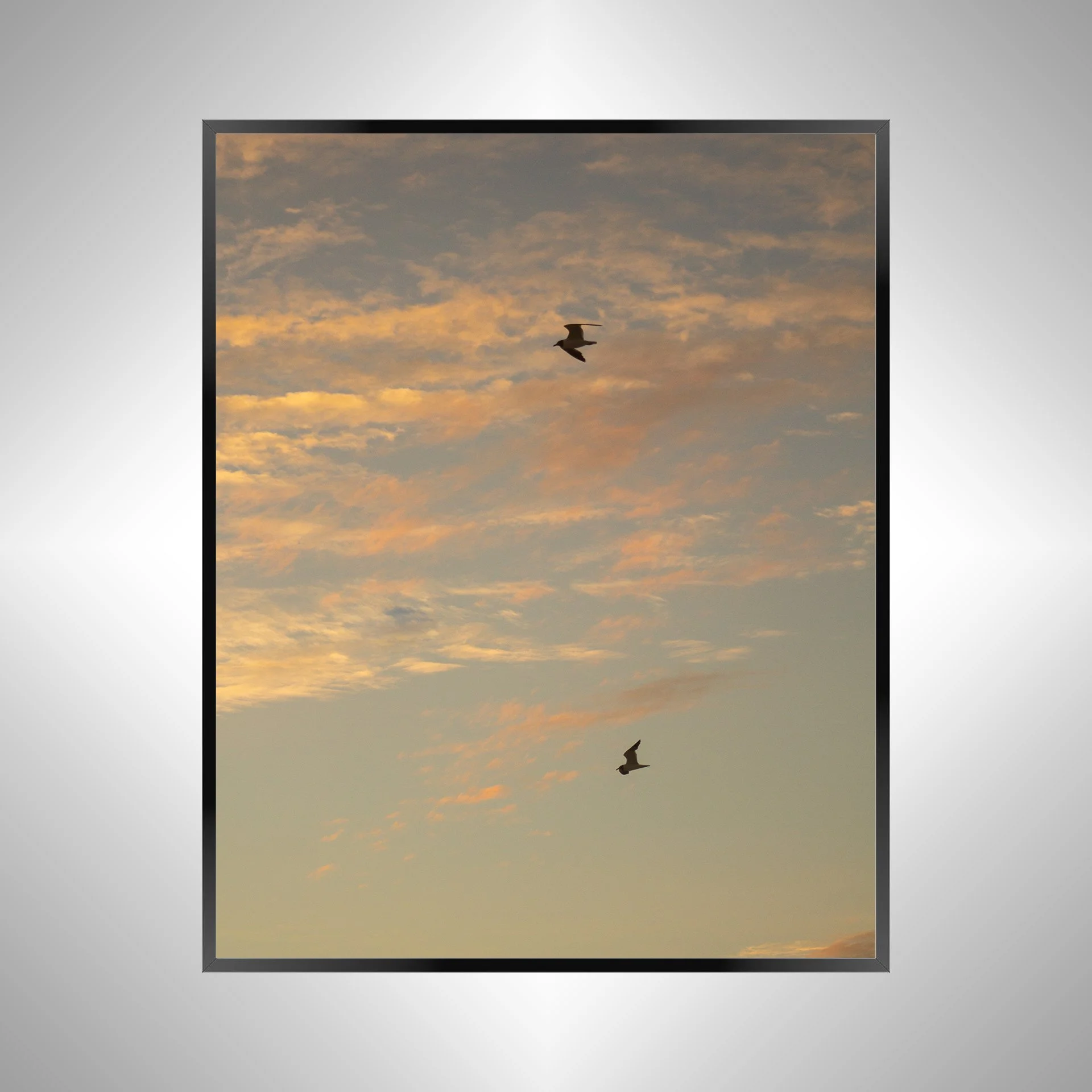 1/10 Love Birds (Seagulls)