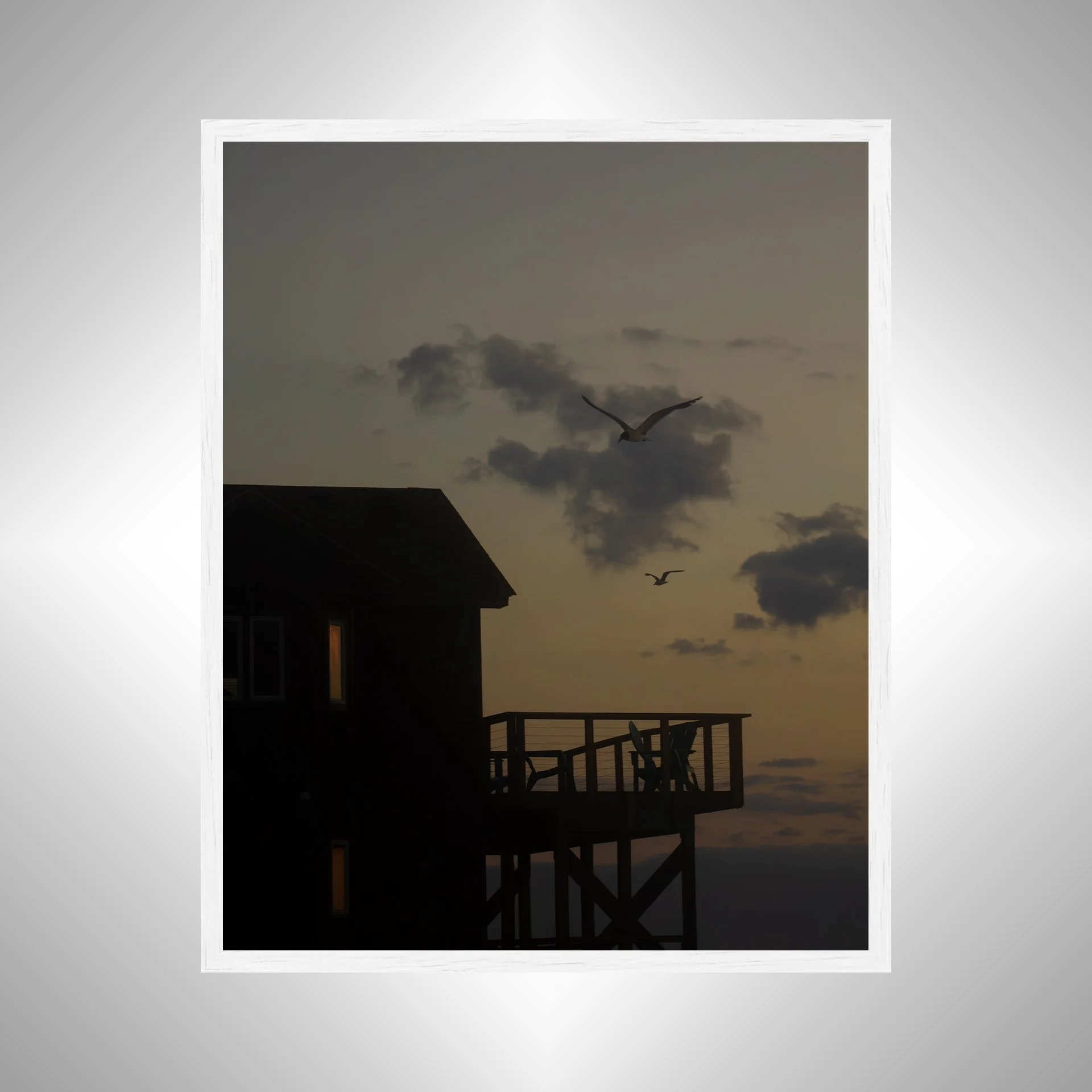 1:1 Seagulls Flying by now Fallen Oceanfront House in Rodanthe- White.jpg