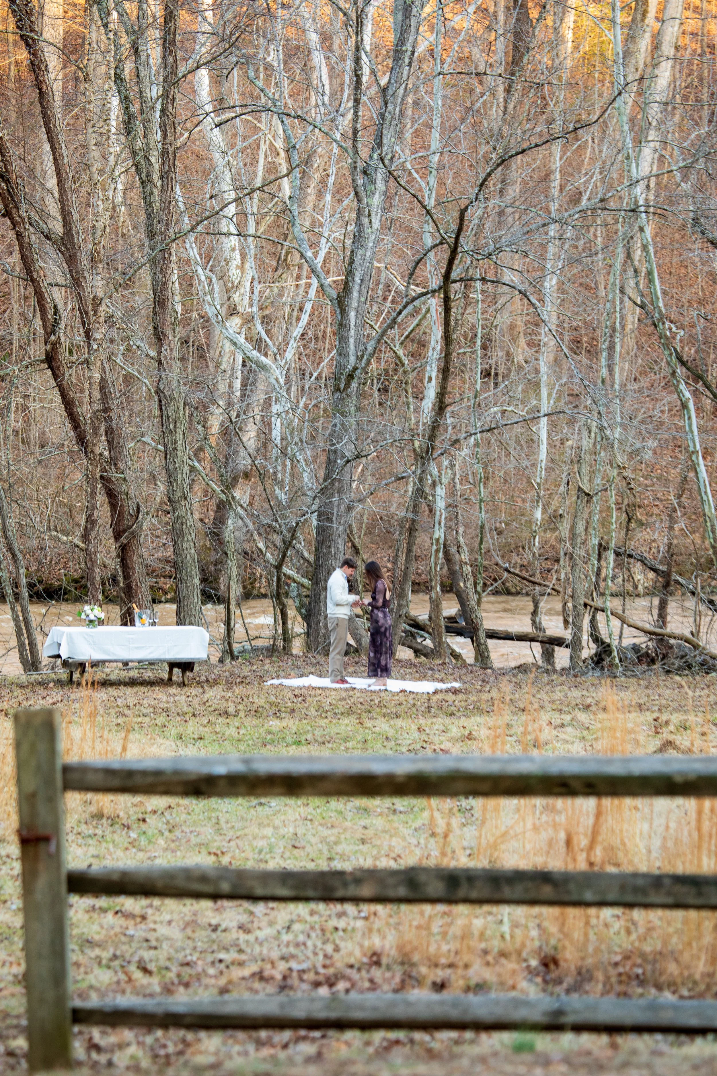 Engagement Photography by Will Locke near Richmond, VA in Montpelier. A person proposing marriage to another person on a blanket in a wooded outdoor area with a table set up nearby for a celebration.