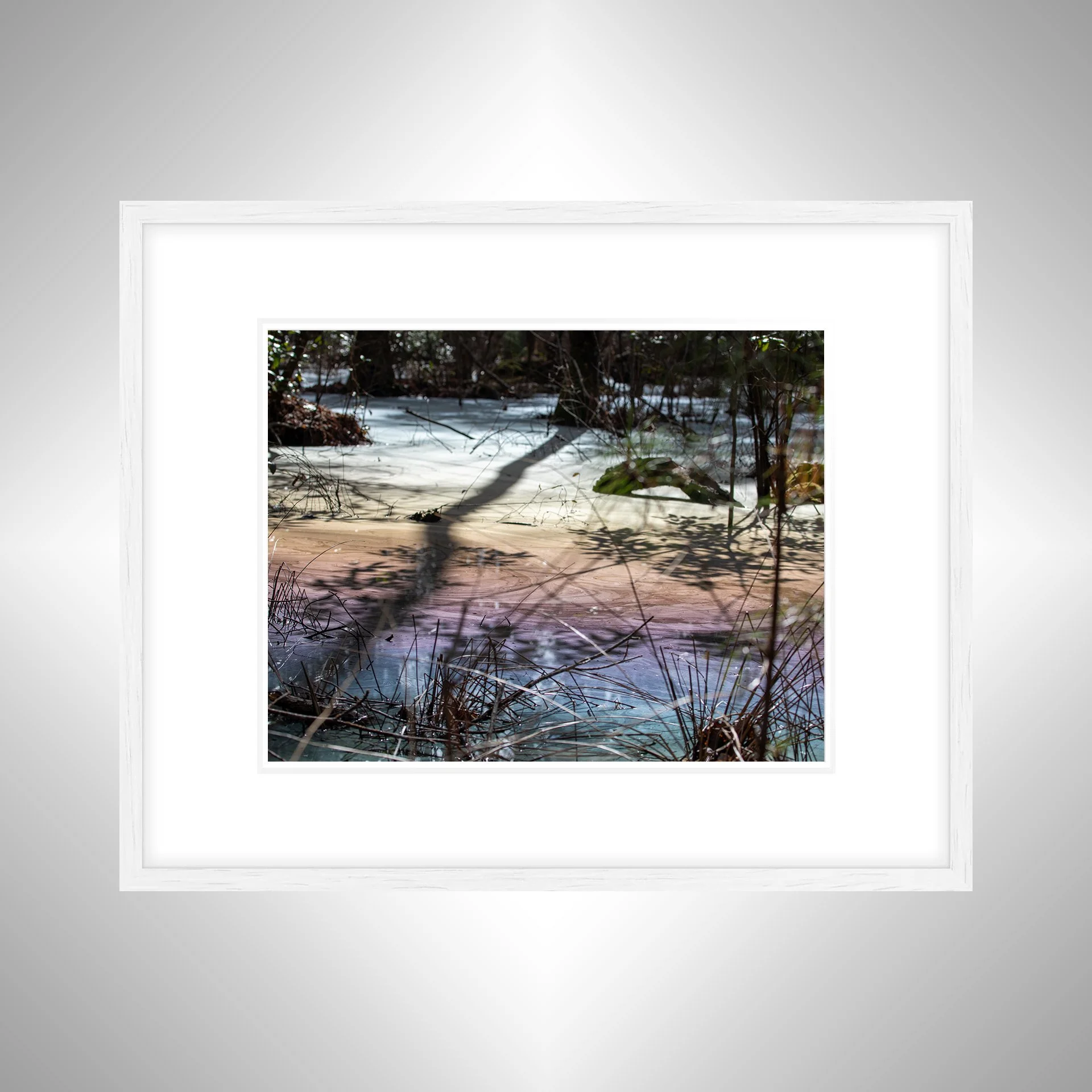 1:1 Rainbow Water at Seashore State Park- White w: Border.jpg