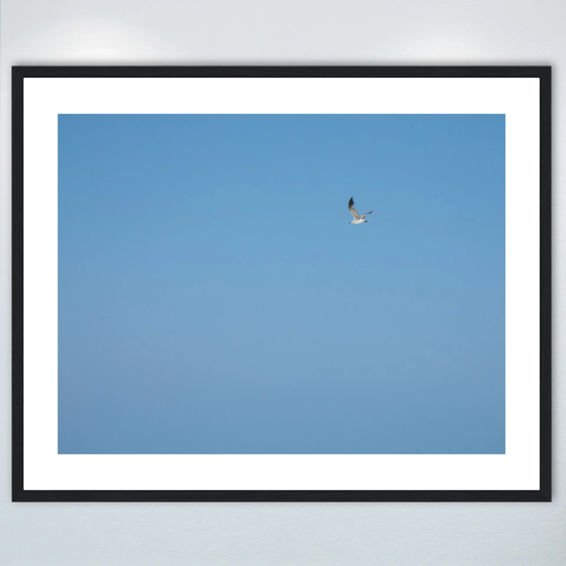 1:10 Blue Sky Seagull- Wood w: Border.jpg
