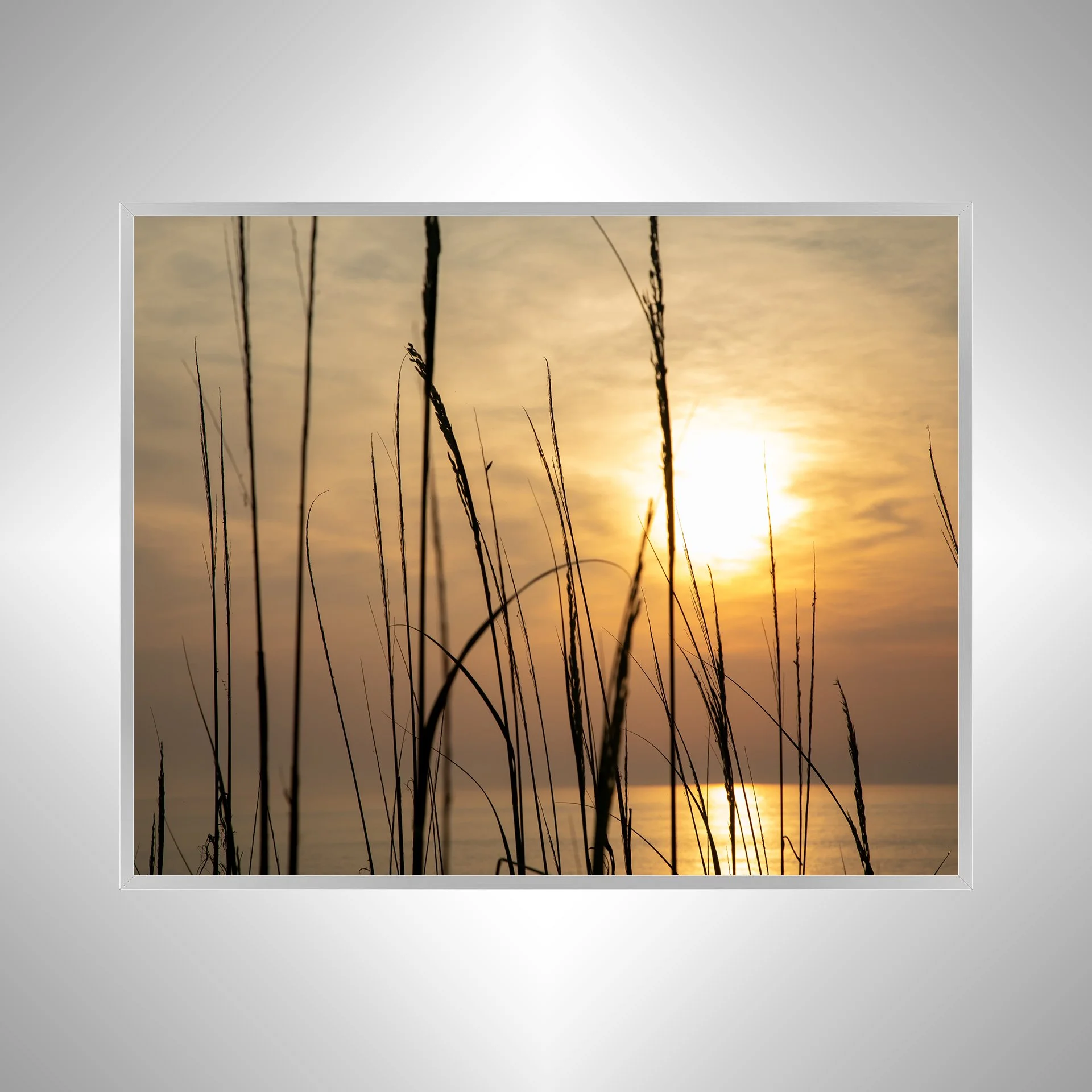 1:1 Sunny Morning thru Dunegrass- Silver.jpg