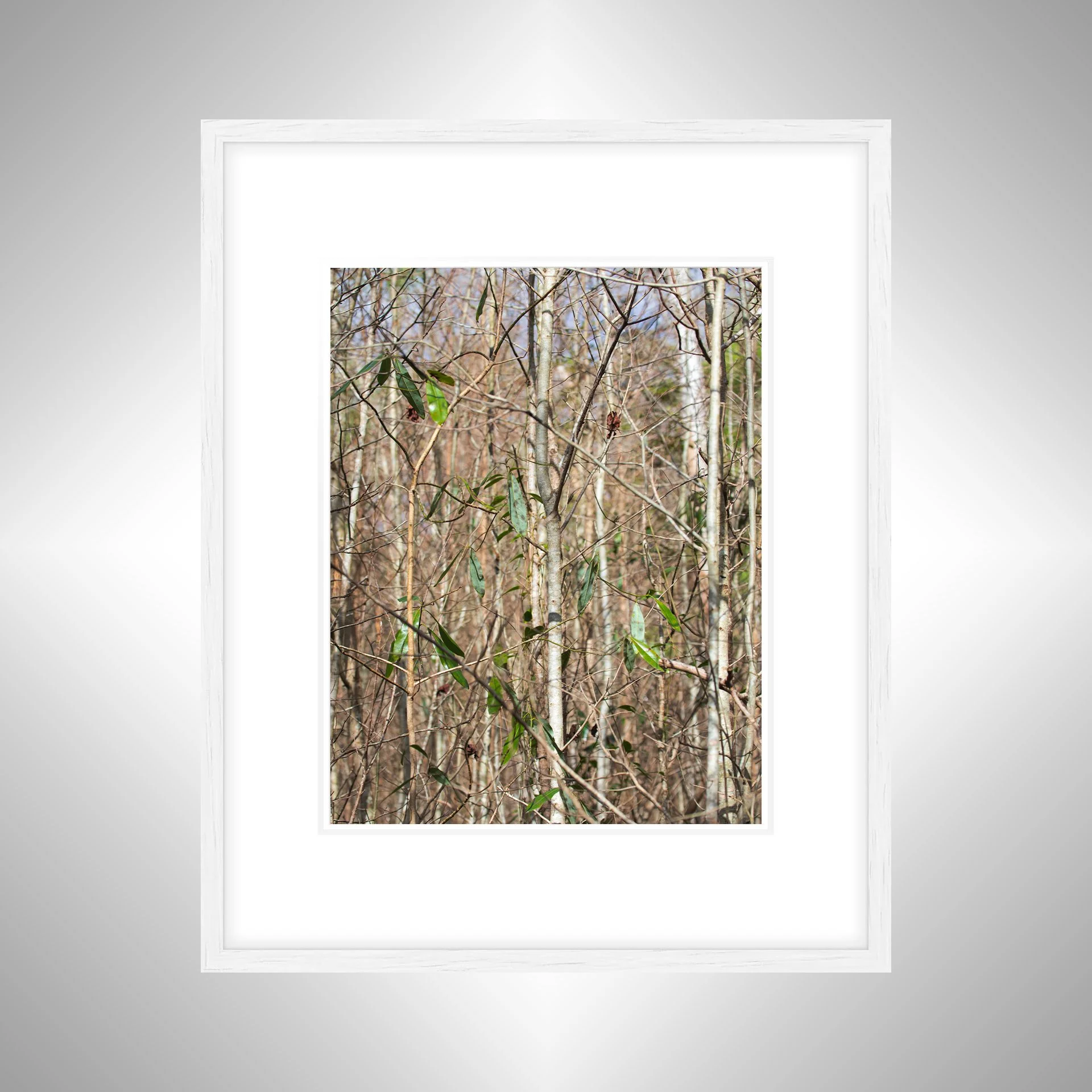 1:10 Hermitage Foliage- White w: Border.jpg