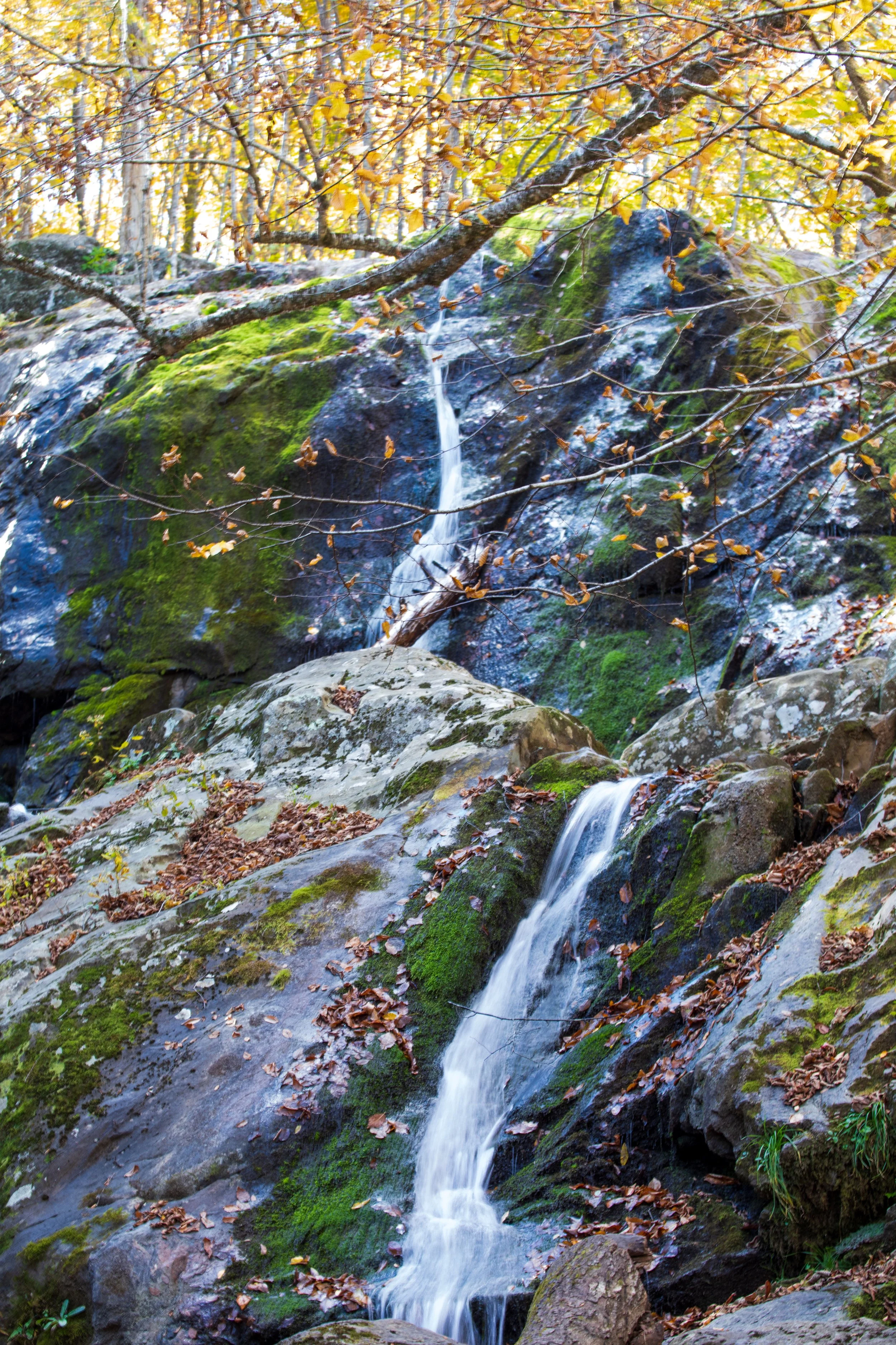 1:1 Shenandoah National Park, Dark Hallow Falls Waterfall.jpg