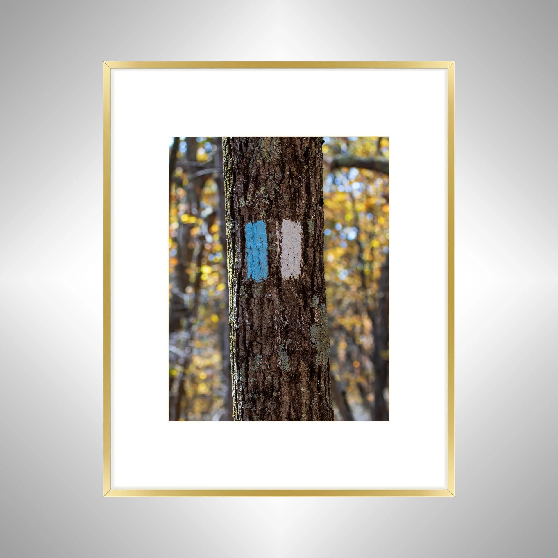 1:1 Appalachian Trail Blaze- Gold Metal w: Border.jpg