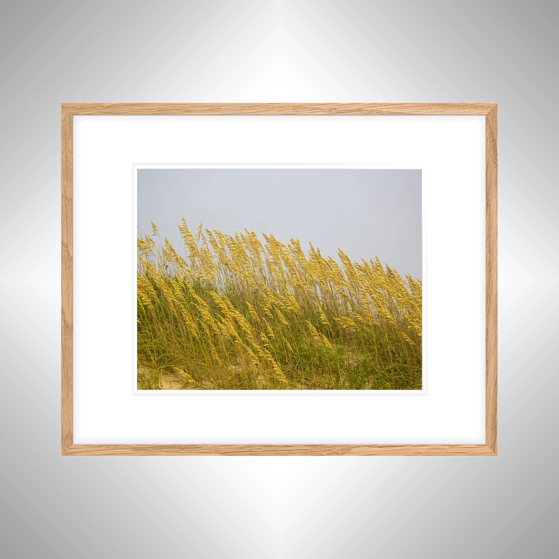 1:1 Rodanthe Dune Oats (Landscape)- White w: Border copy NATTY.jpg