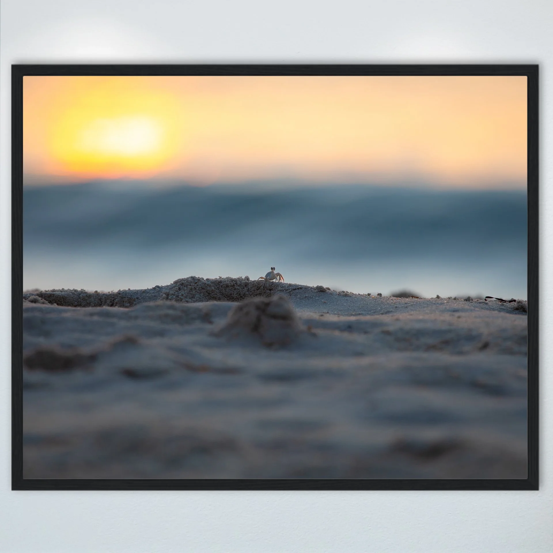 1:10 Ghost Crab Watching Wavebreak in Duck, NC- Wood.jpg