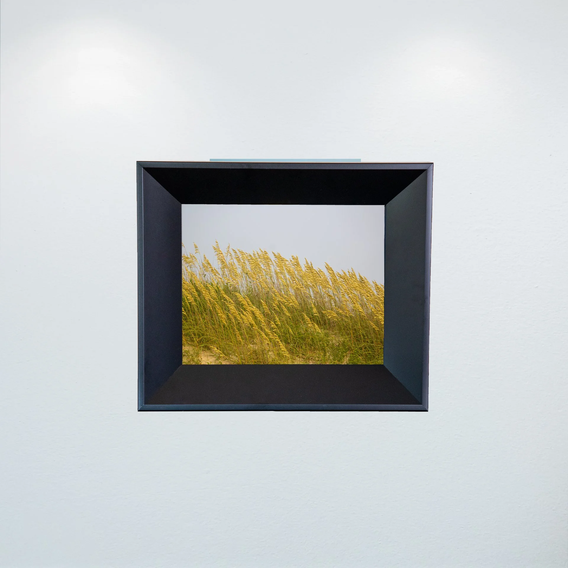 1:1 Rodanthe Dune Oats (Landscape)- Mini.jpg