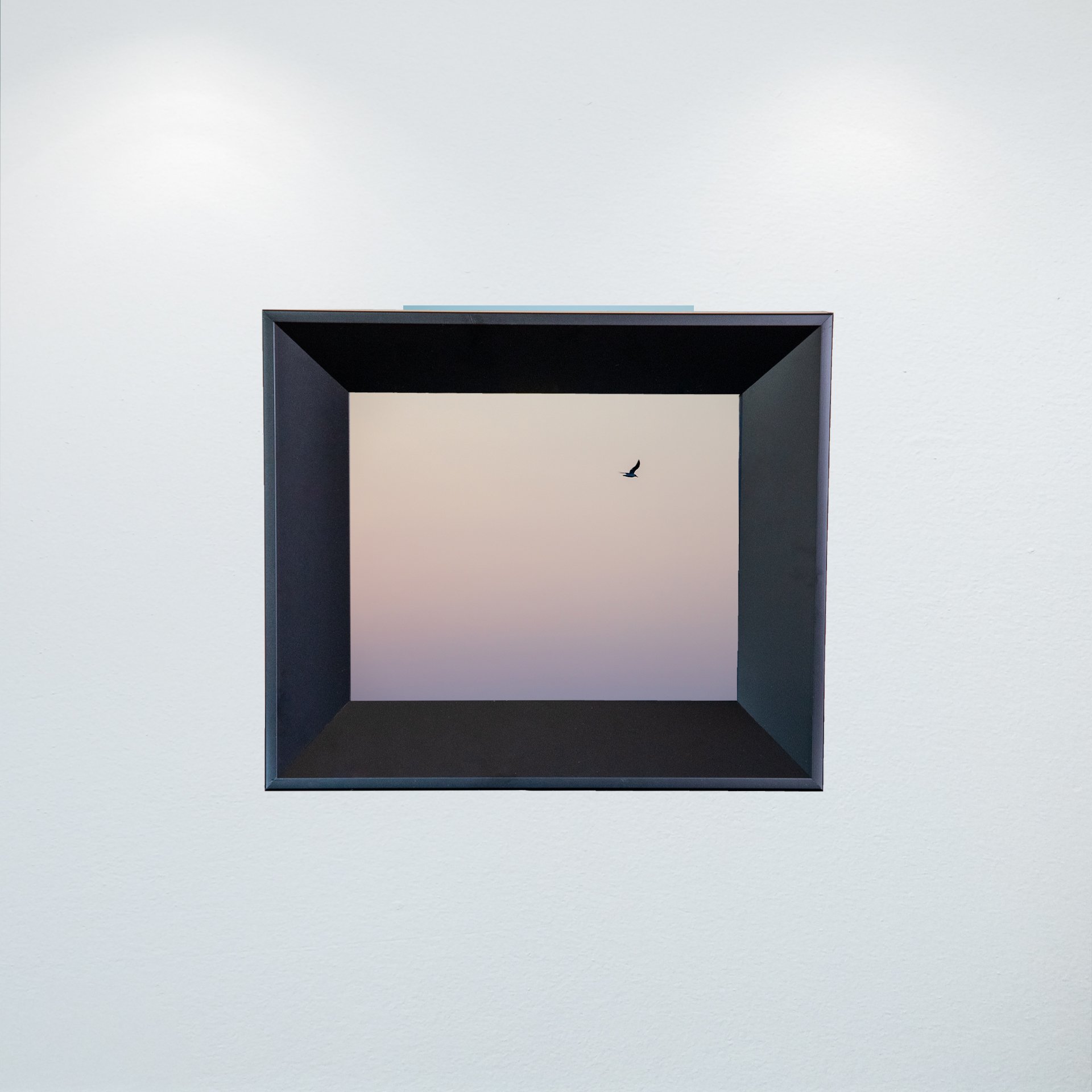 1:1 Seagull Flying on Pink Gradient- Mini.jpg