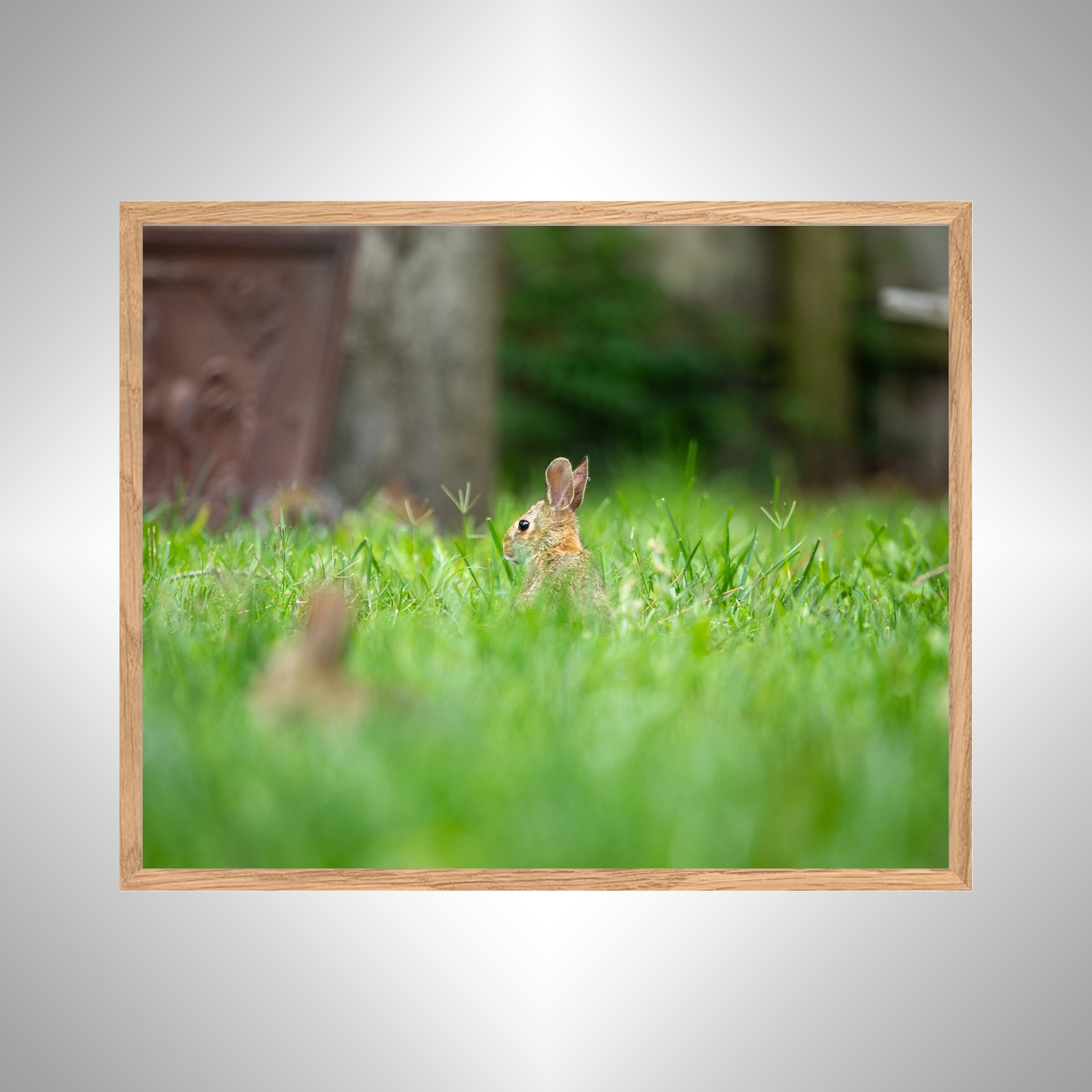 1:1 Standing Bunny- White copy NATTY.jpg