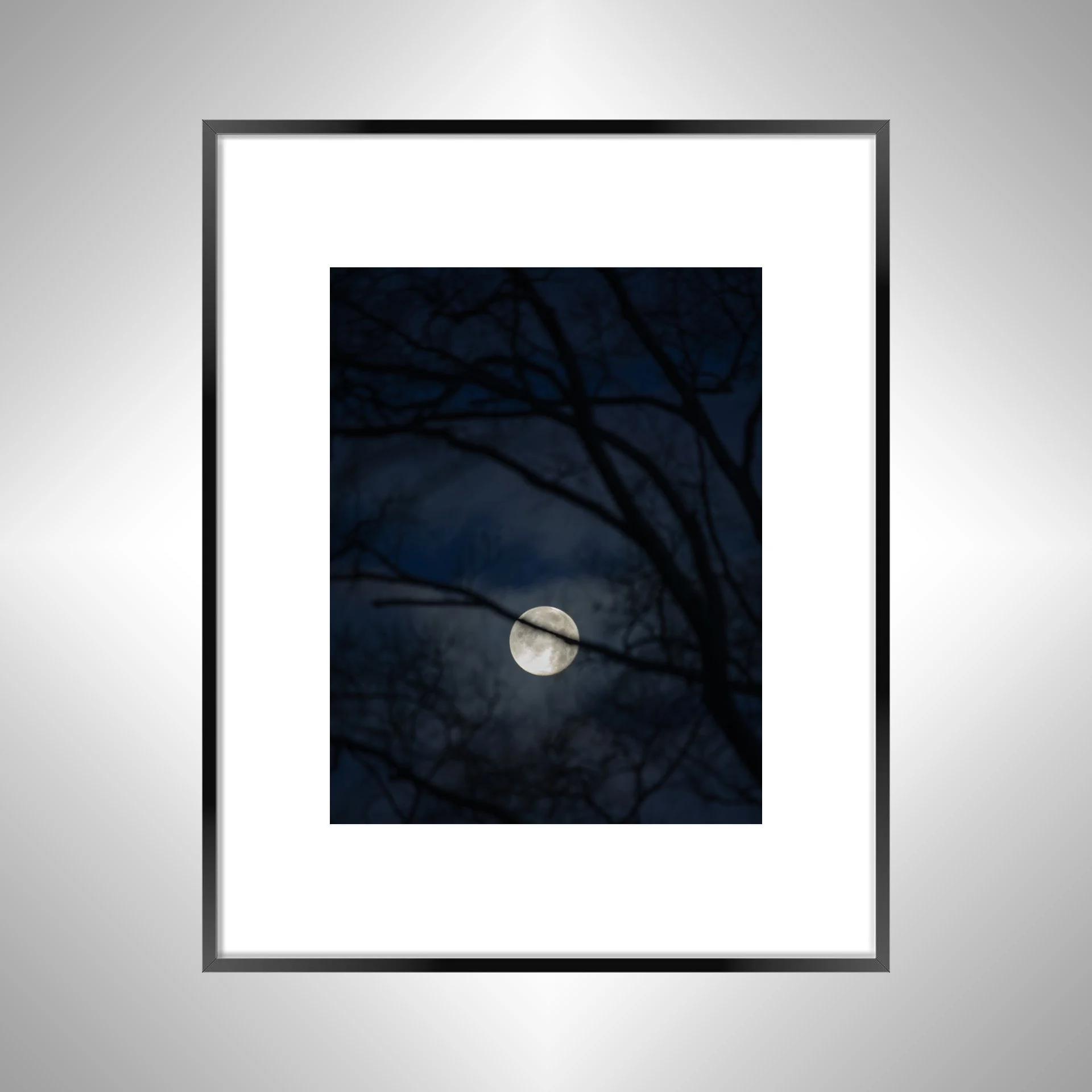 1:10 Moon thru Tree Branches- Black w: Border.jpg