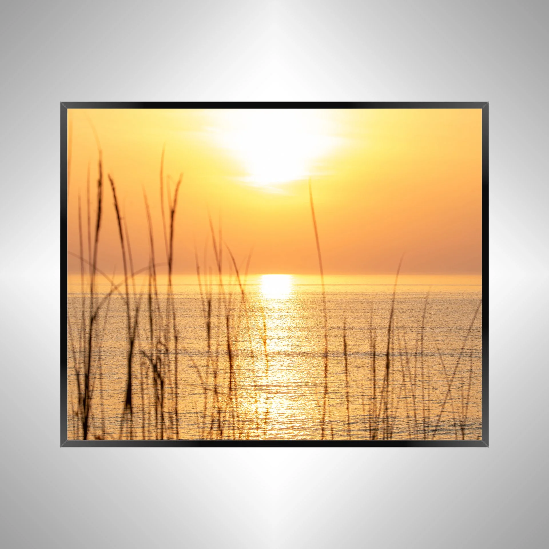 1/1 Sunrise thru Dunegrass