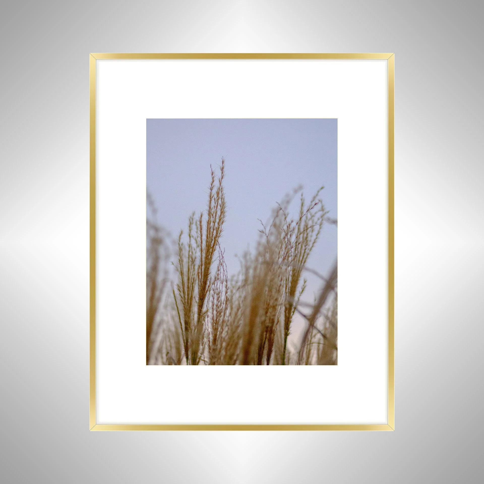 1:1 Lafayette River Oats- Gold Metal w: Border.jpg