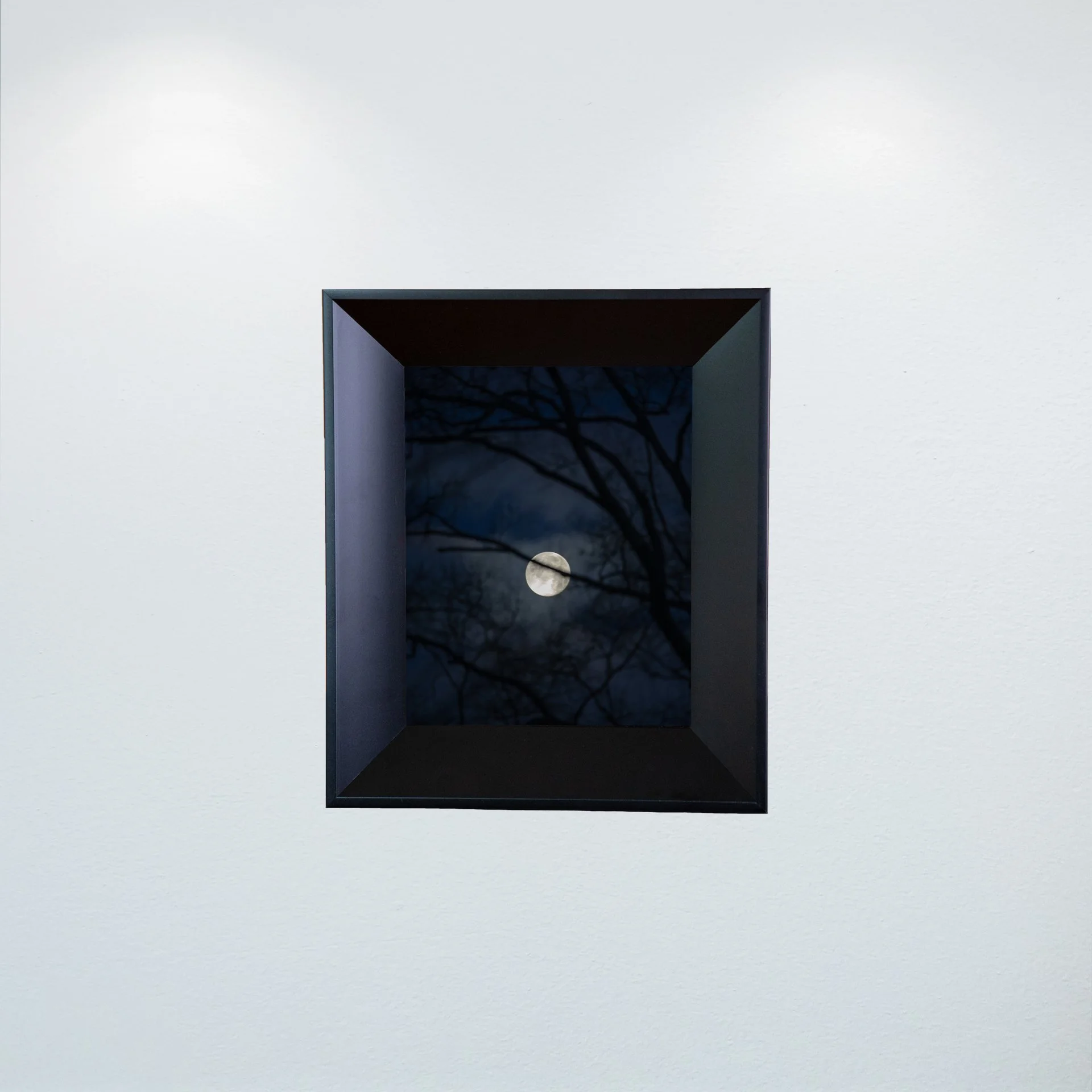 1:10 Moon thru Tree Branches- Mini.jpg