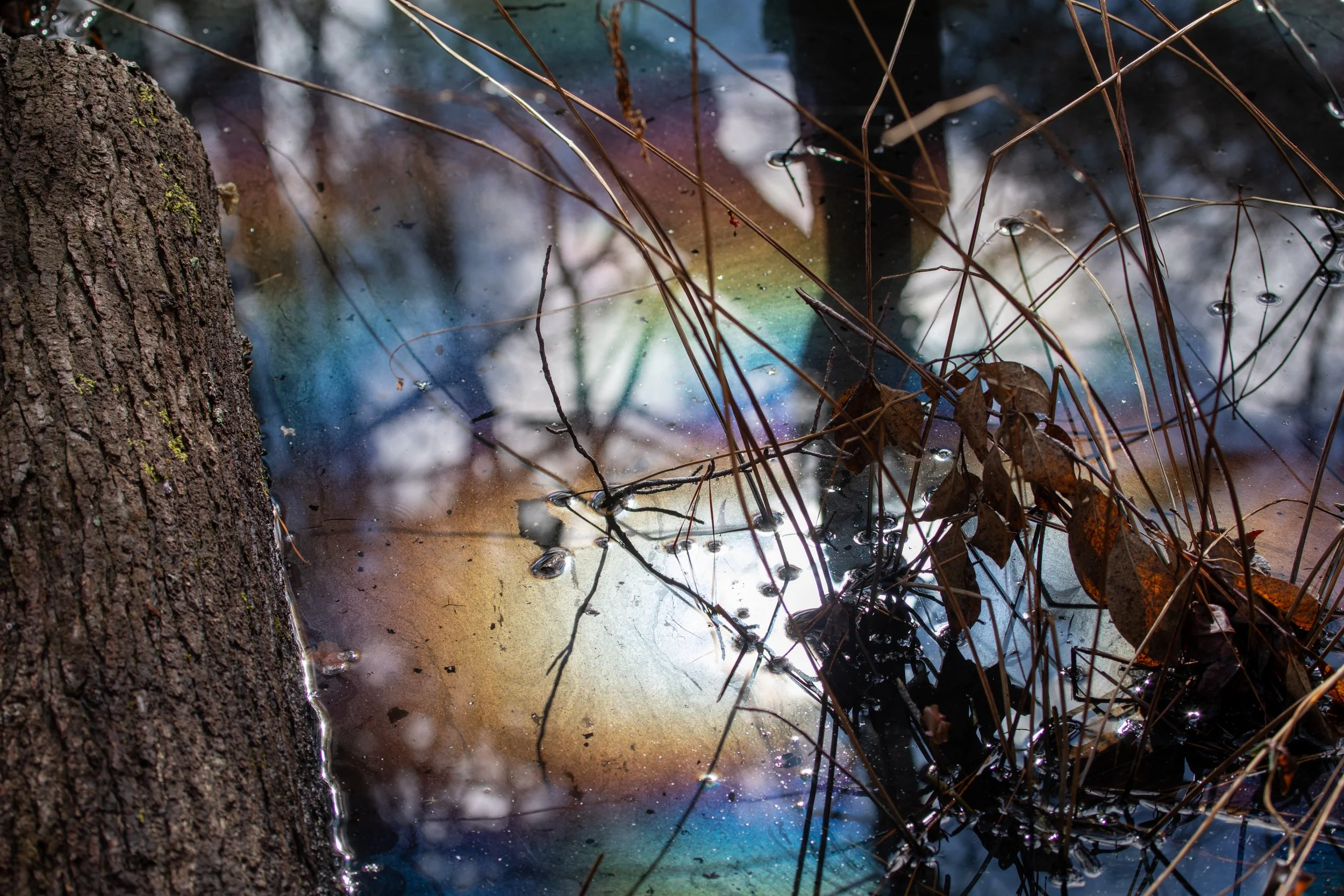 1:1 Rainbow Water at First Landing.jpg