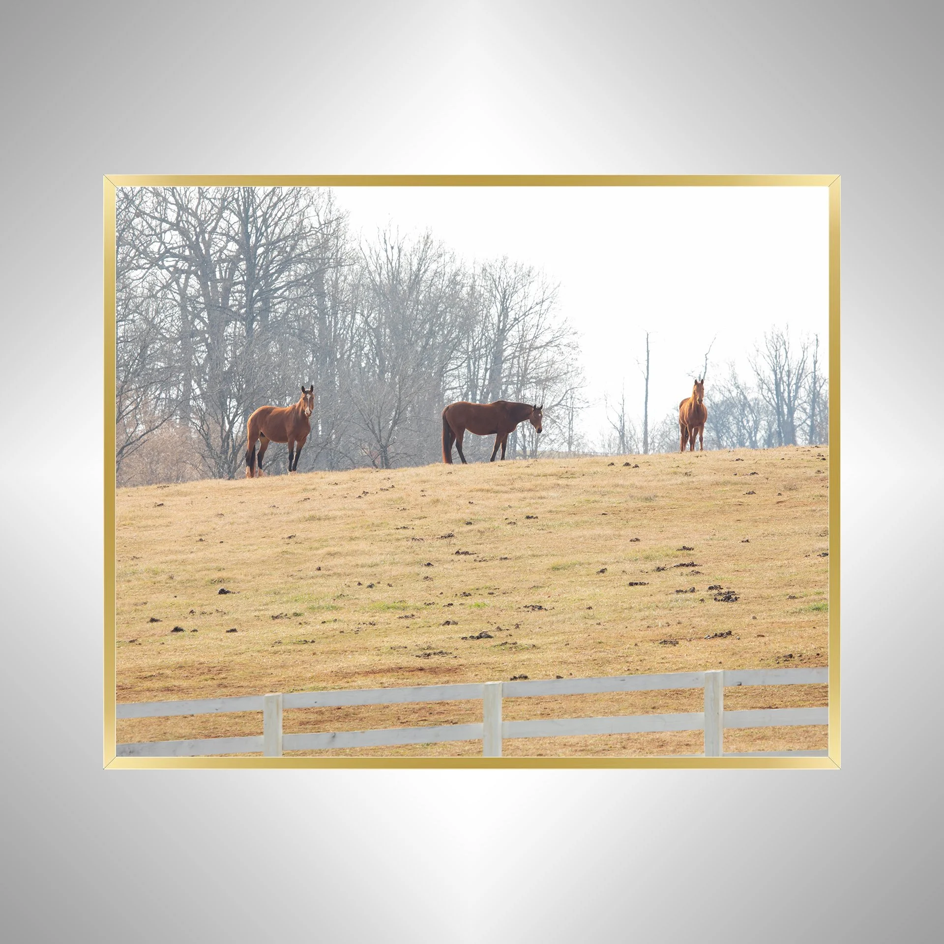 1:10 Horse Hill- Gold.jpg