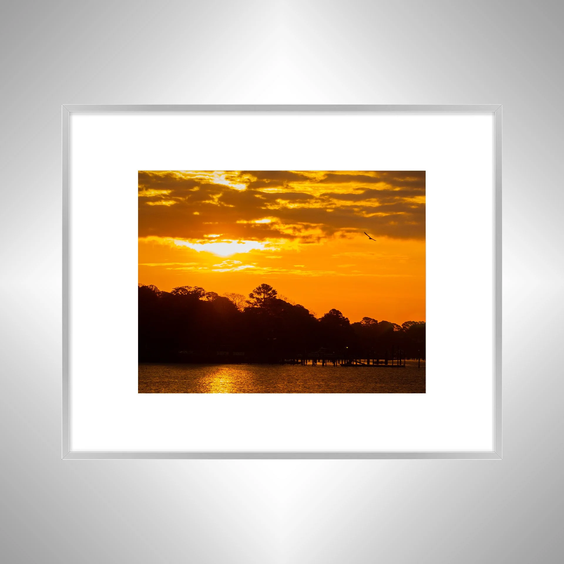1:1 Bird at Sunrise on the Lafayette River- Silver Metal w: Border.jpg