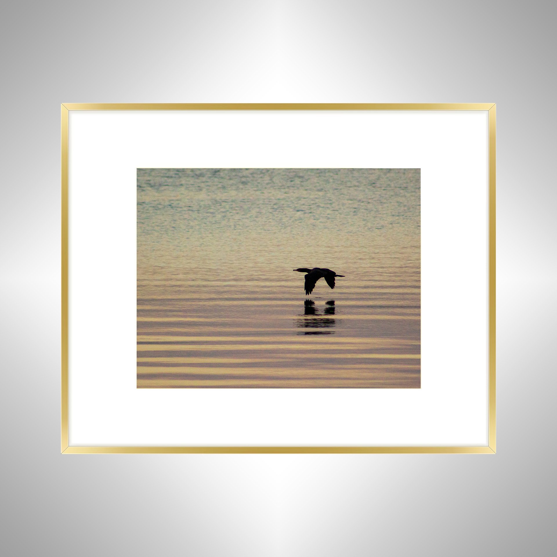 1:1 Pelican on the Lafayette- Gold w: Border.jpg
