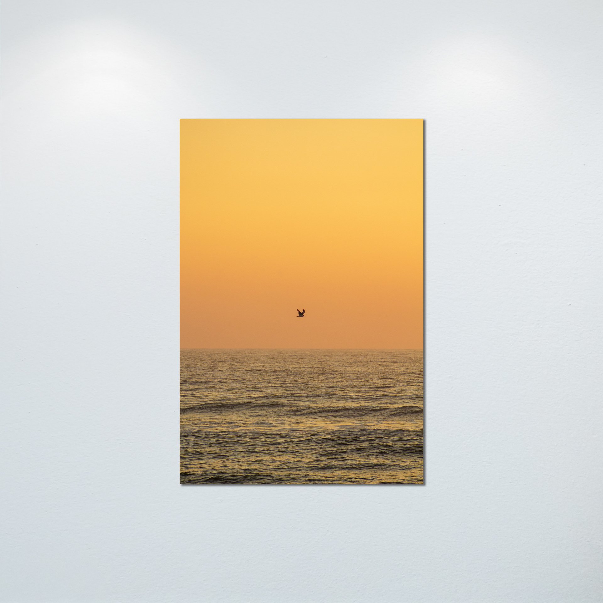 1:10 Sunrise Soaring Seagull- Poster & Canvas.jpg