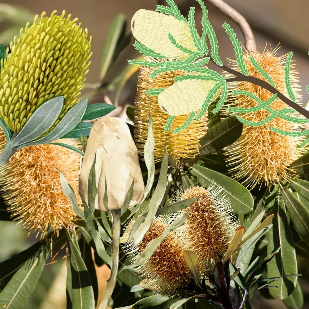 Untitled design (1).jpg