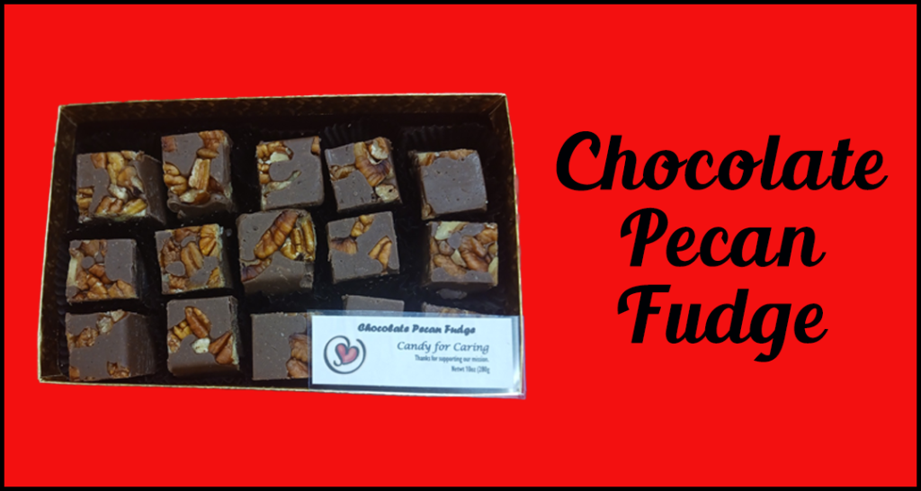 Chocolate-pecan-fudge-1024x546.png