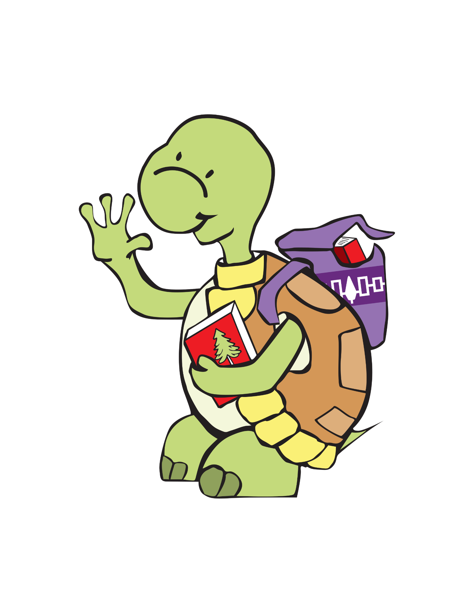 Taylor the Turtle