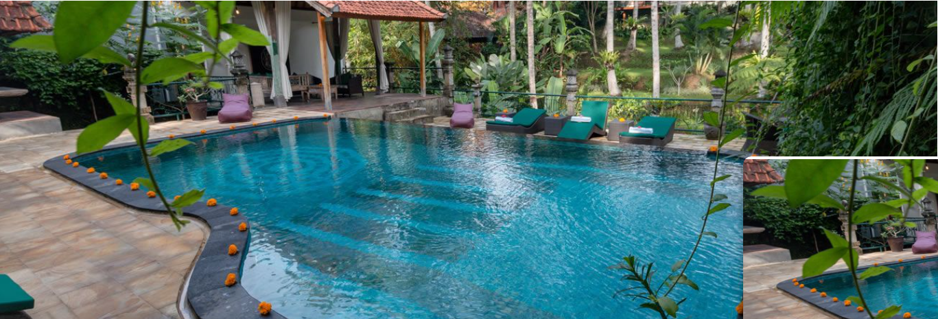 Tranquil pool at luxury women’s yoga and healing retreat venue in Ubud Bali surrounded by tropical gardens