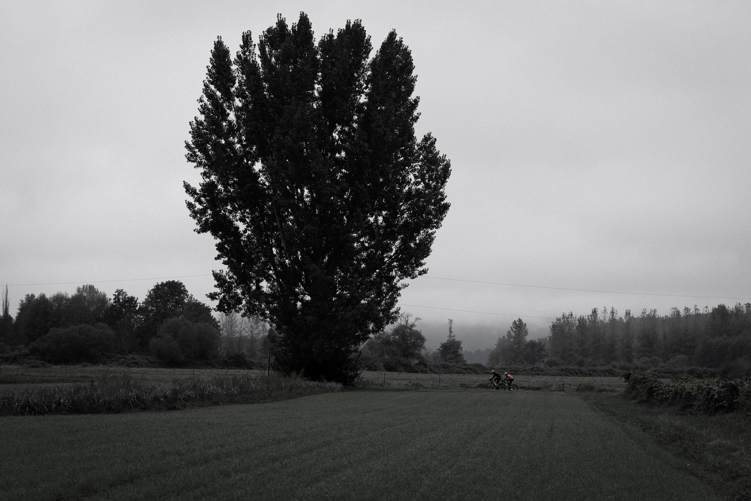 WebsiteLandscape-1-3.jpg