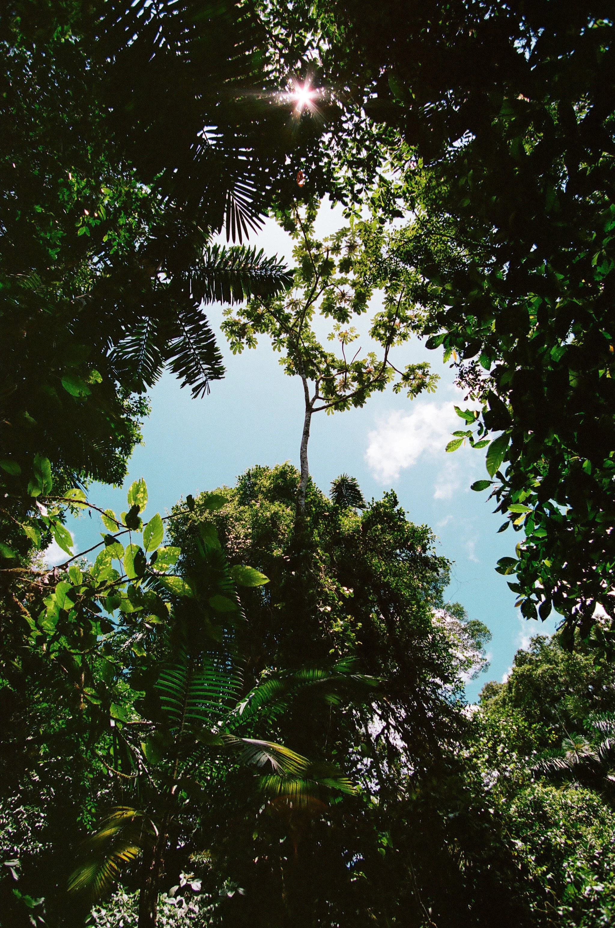 Export_20260403000090830015.jpg