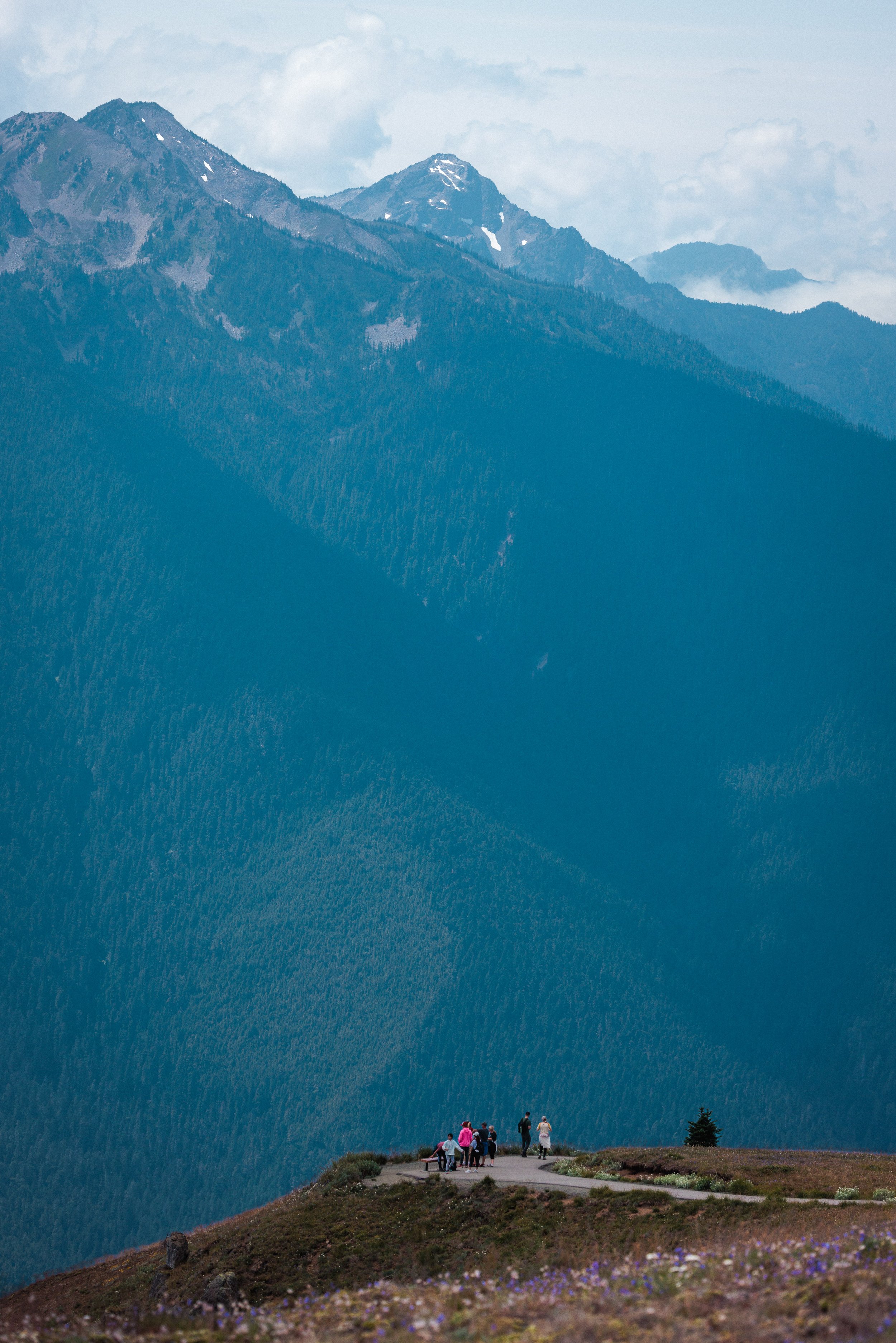 WebsiteLandscape-1-2.jpg